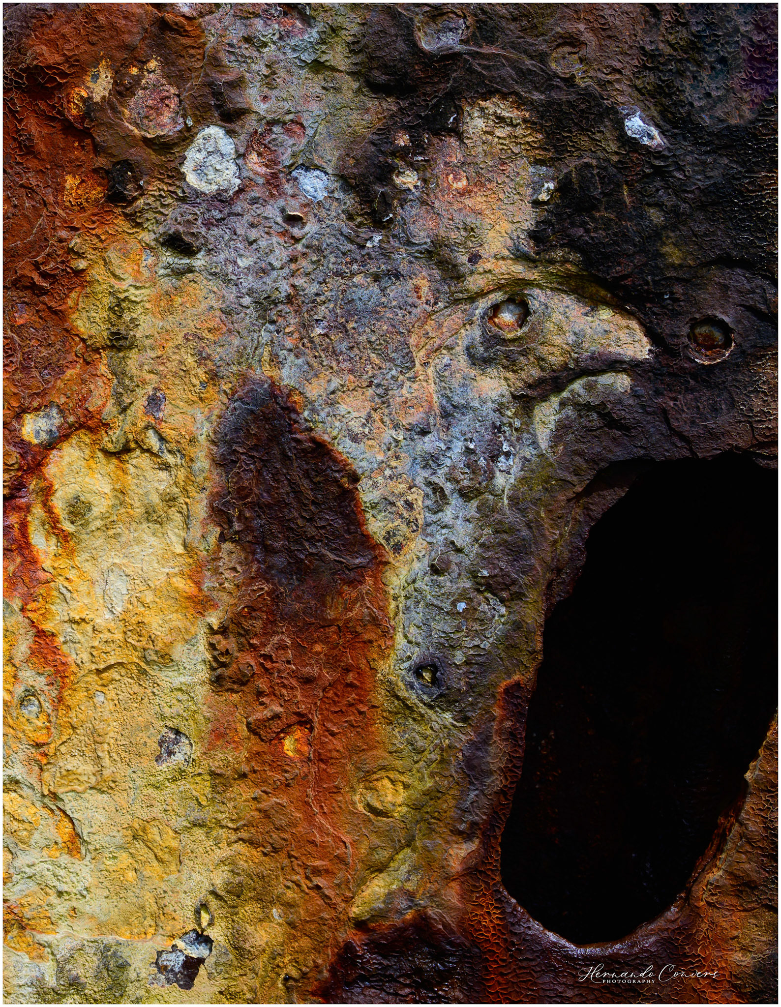 Rust Berd