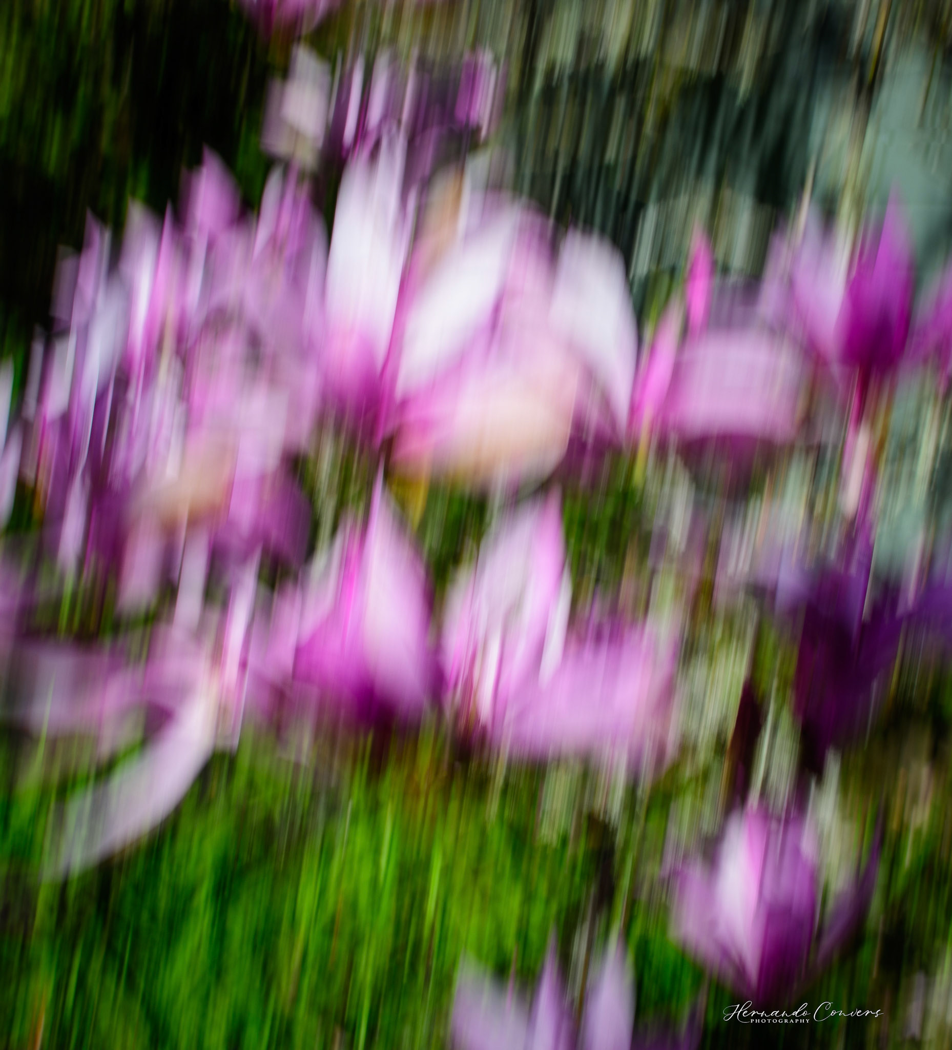 ICM 2