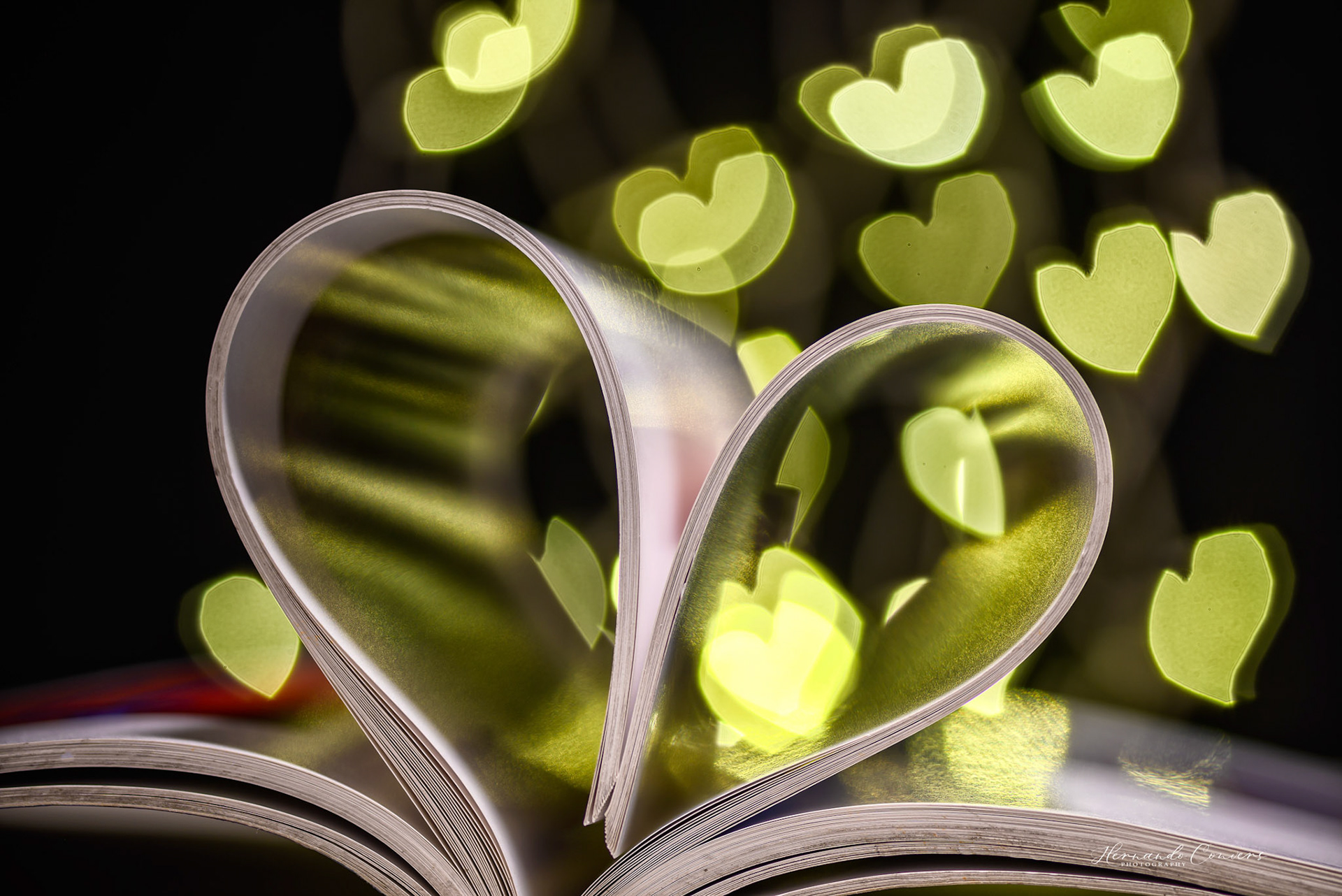 Love of Reading