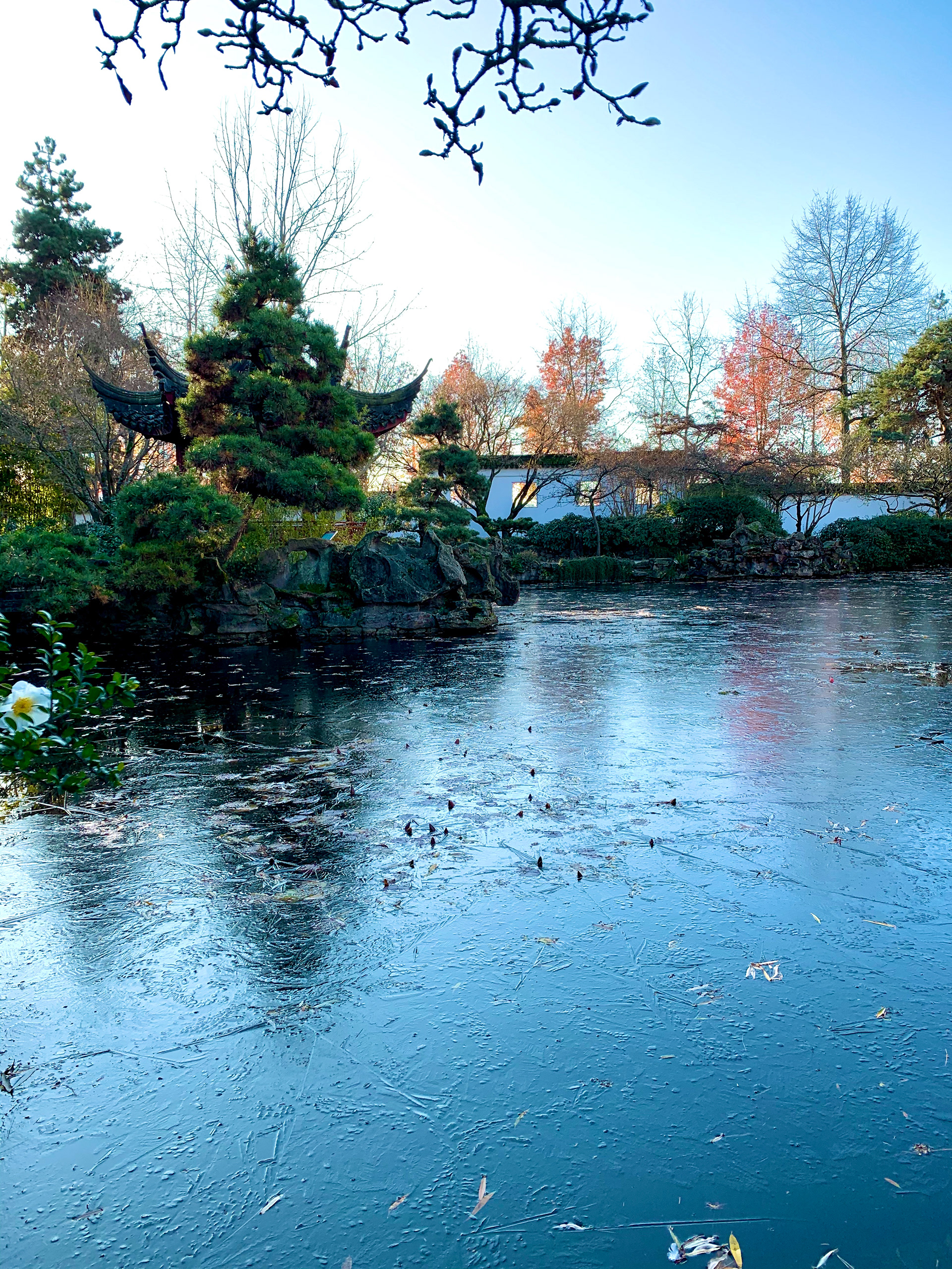 Dr. Sun Yat-Sen Classical Chinese Garden, Vancouver