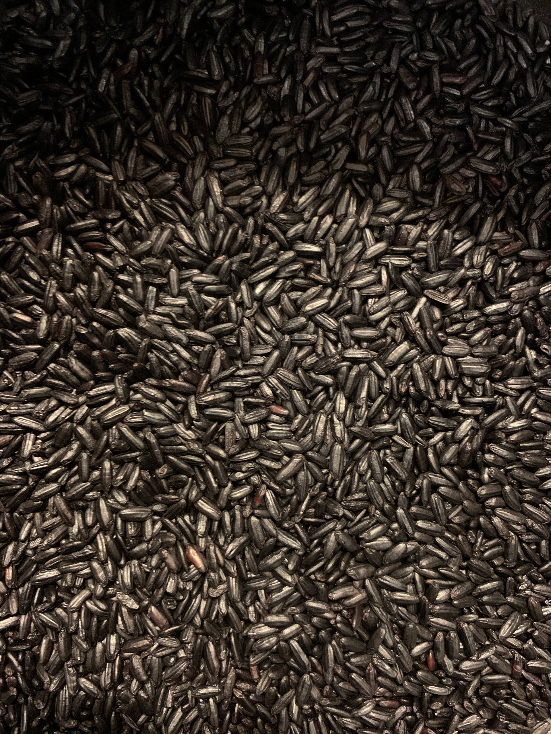 Black Rice