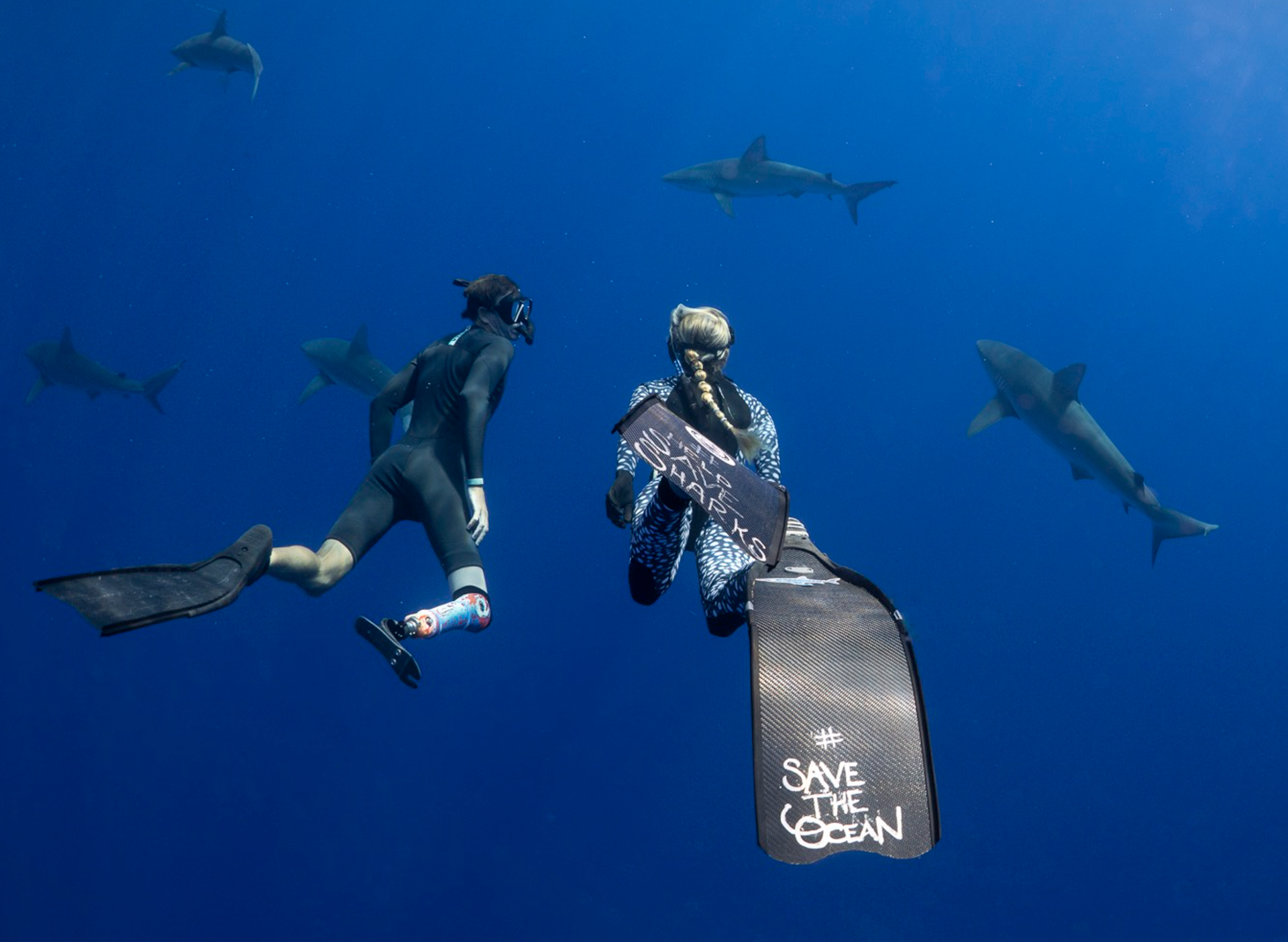 SAVING JAWS