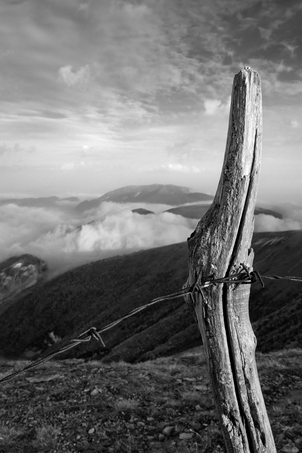 Monte Catria / Oltre il limite / 2011
