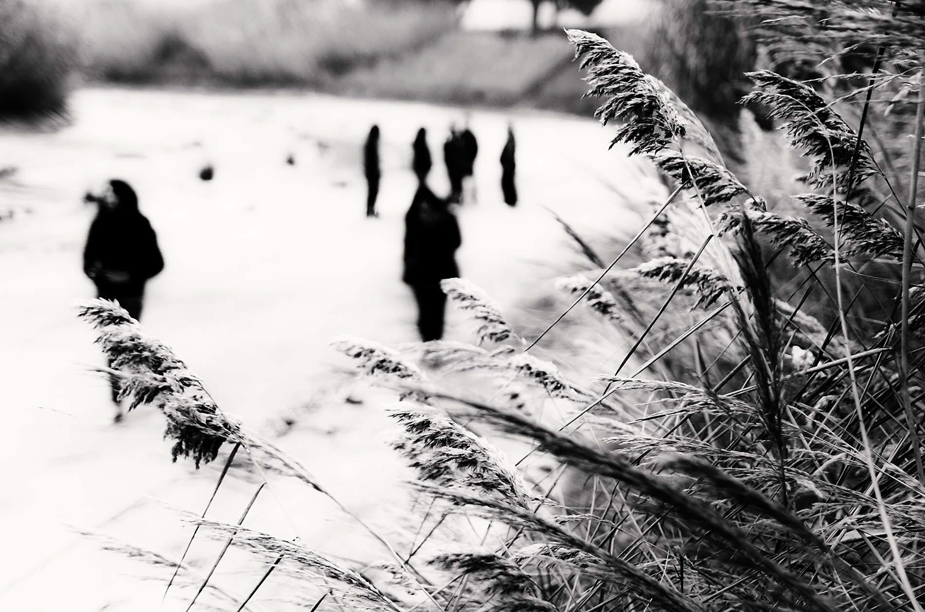 Cattolica / Shapes / 2012