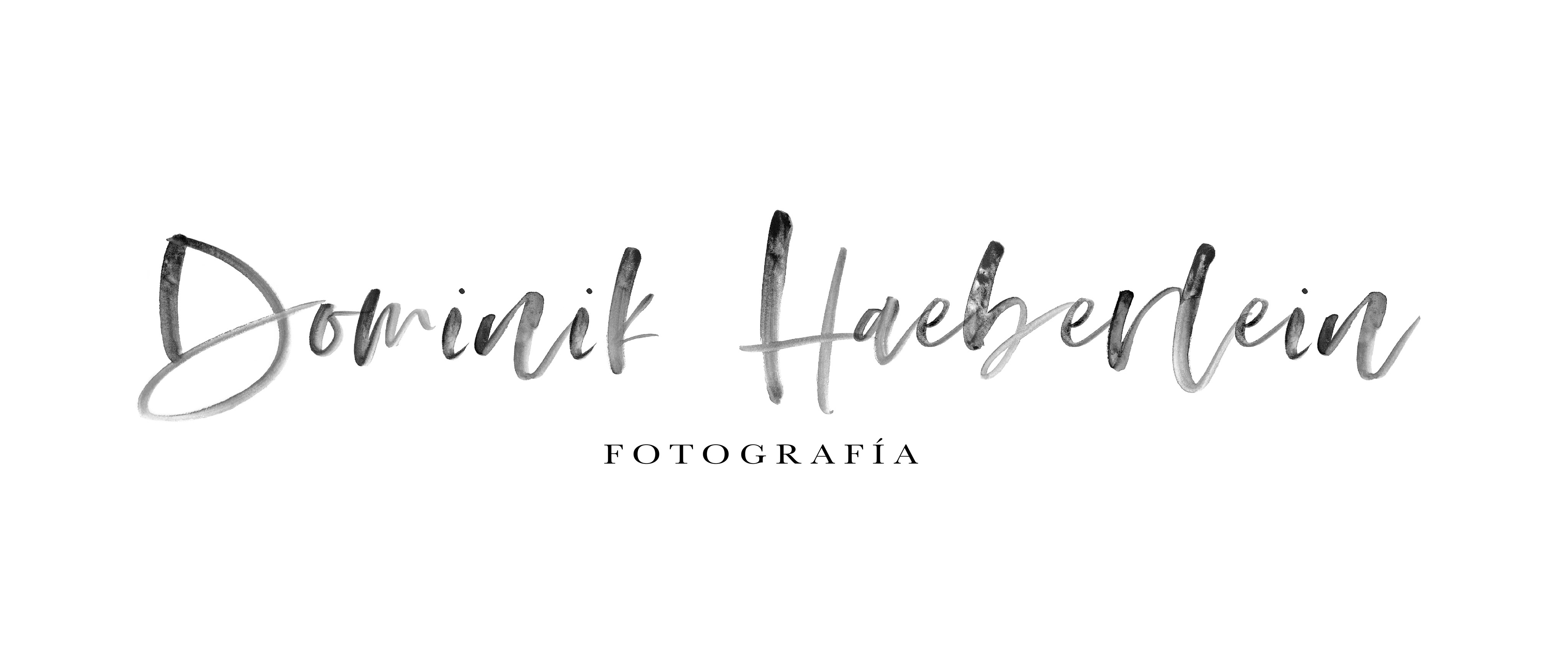 DOMINIK HAEBERLEIN