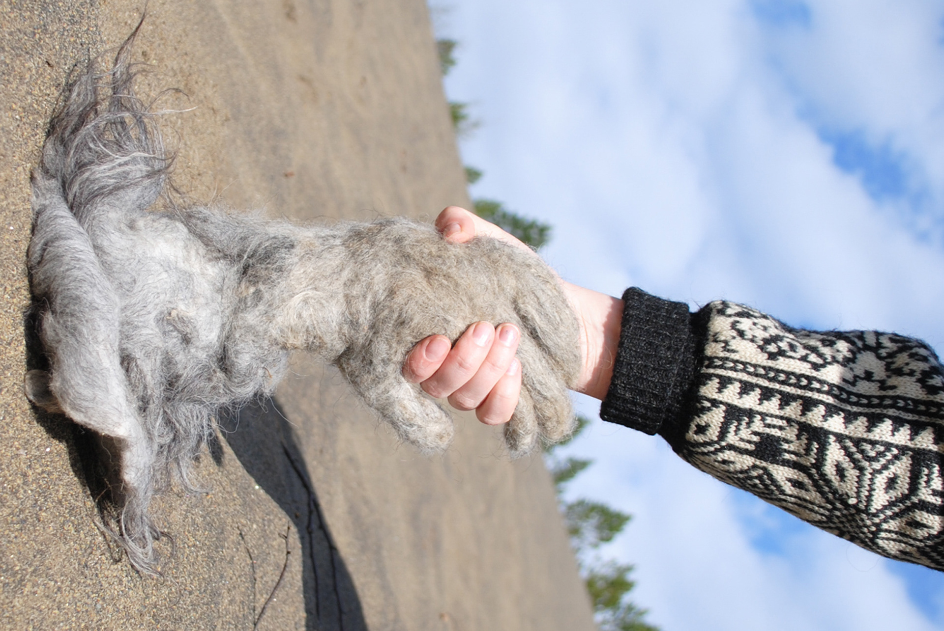 Welcome, click here to enter