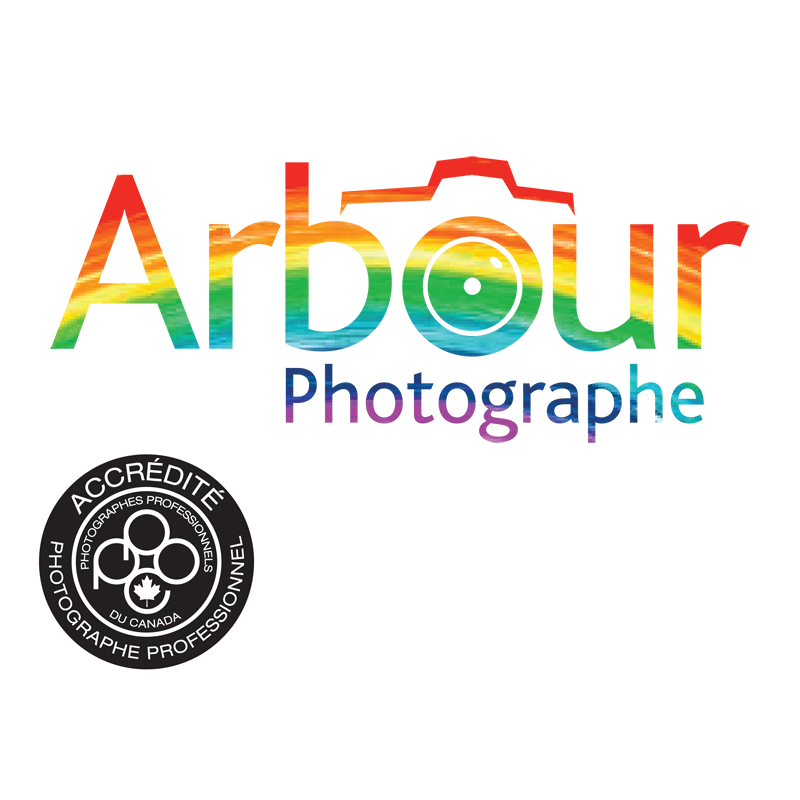 Arbour Photographe