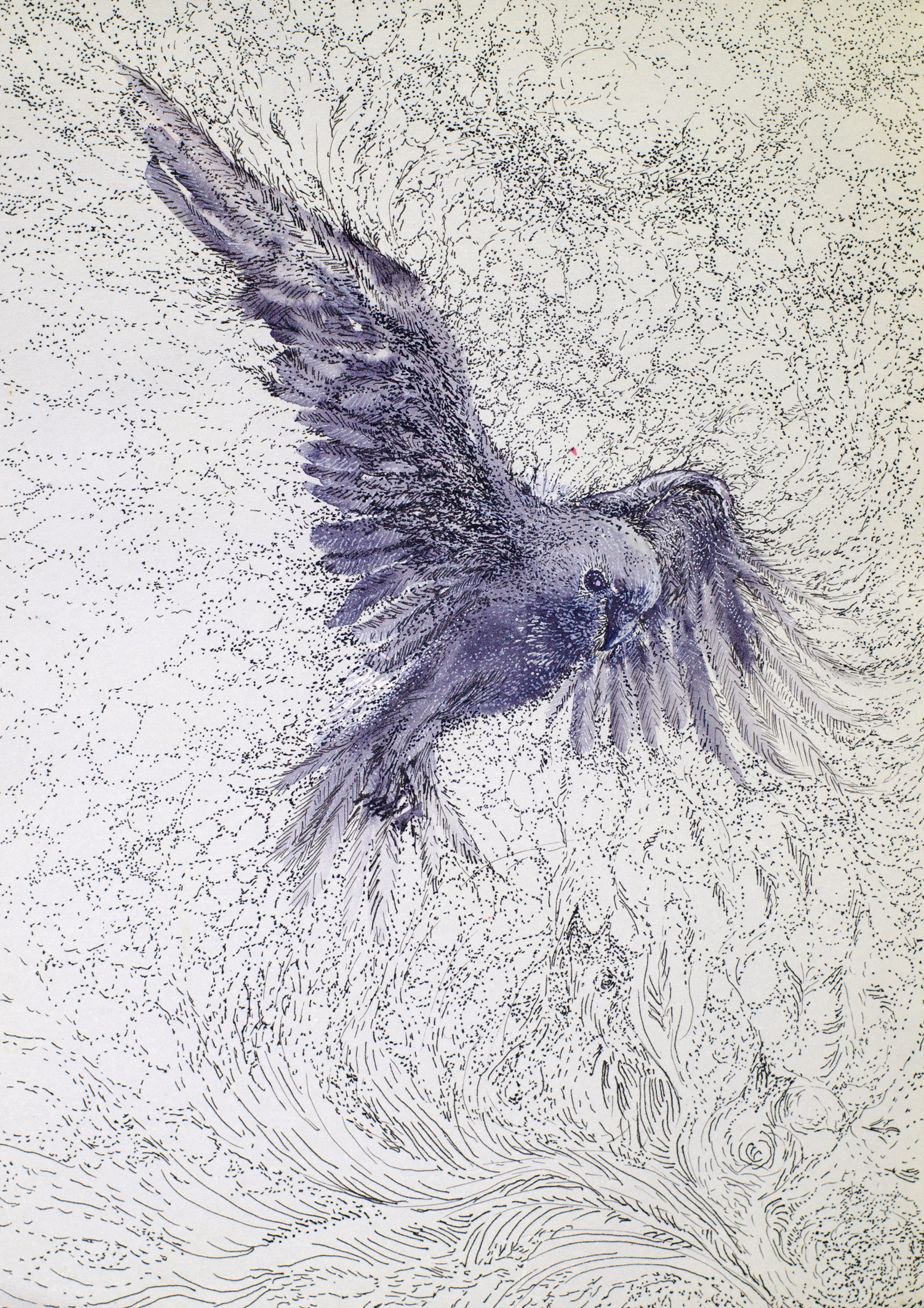 Fly & Dissipate
