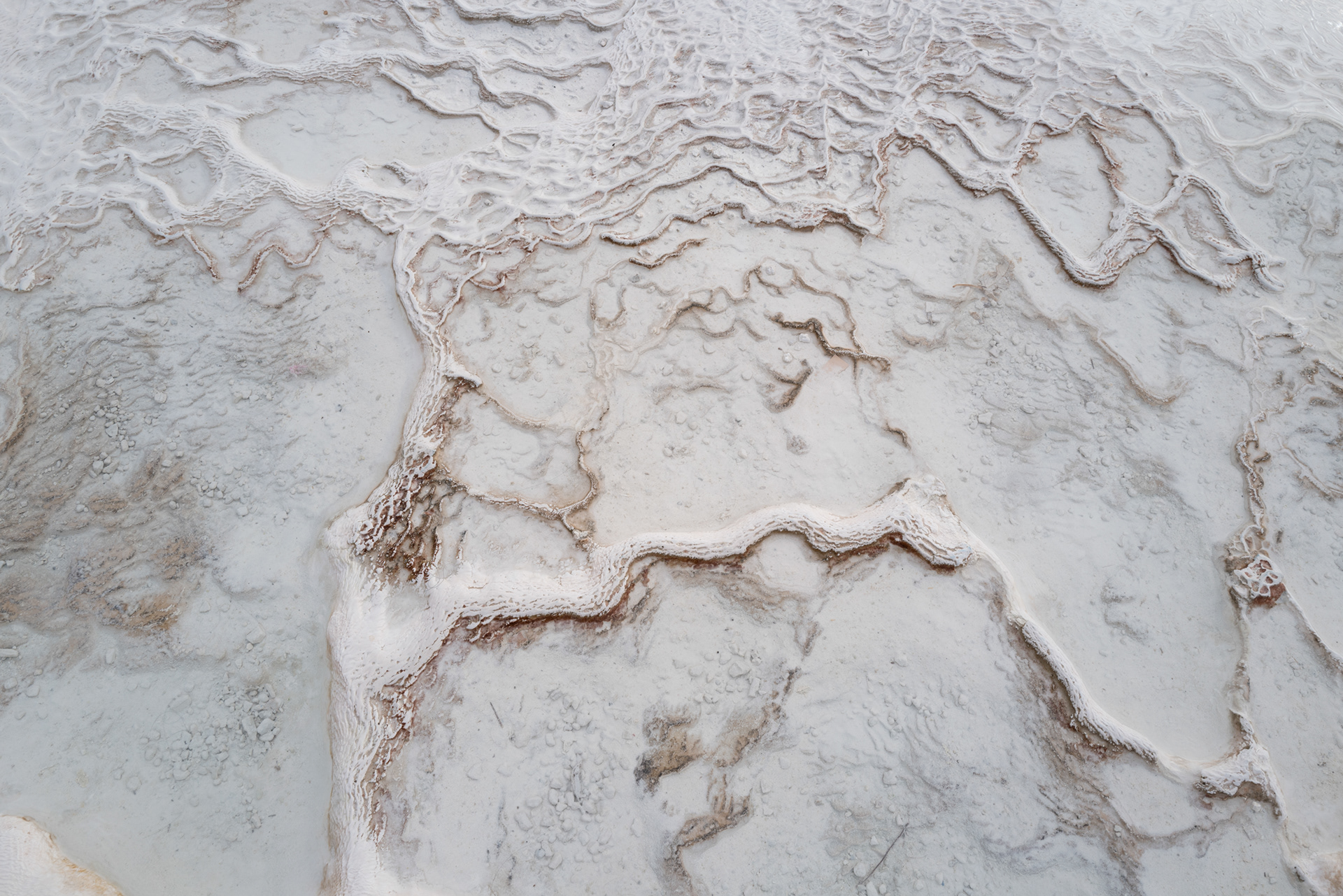 Veins, Pamukkale - #T13