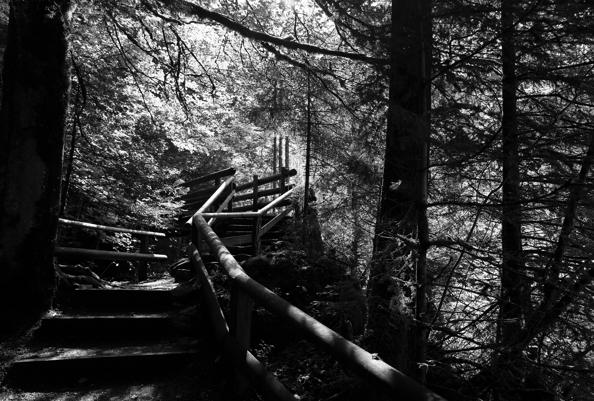 Lake Blausee, Switzerland - #S9