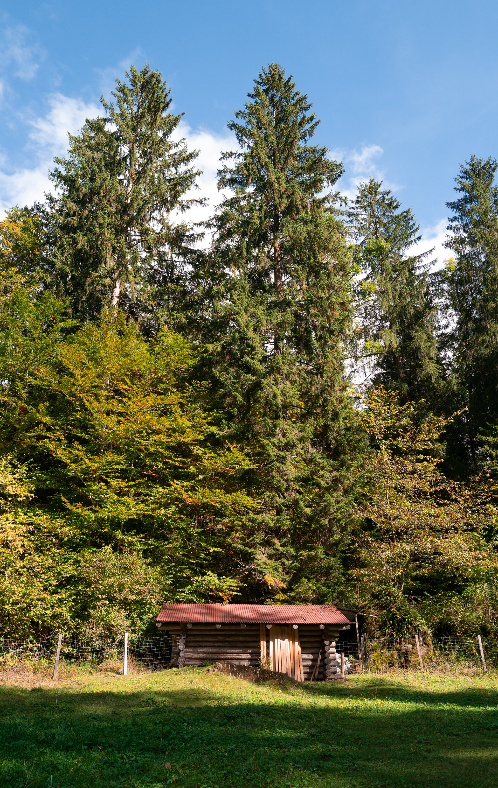 Lake Blausee, Switzerland - #S6