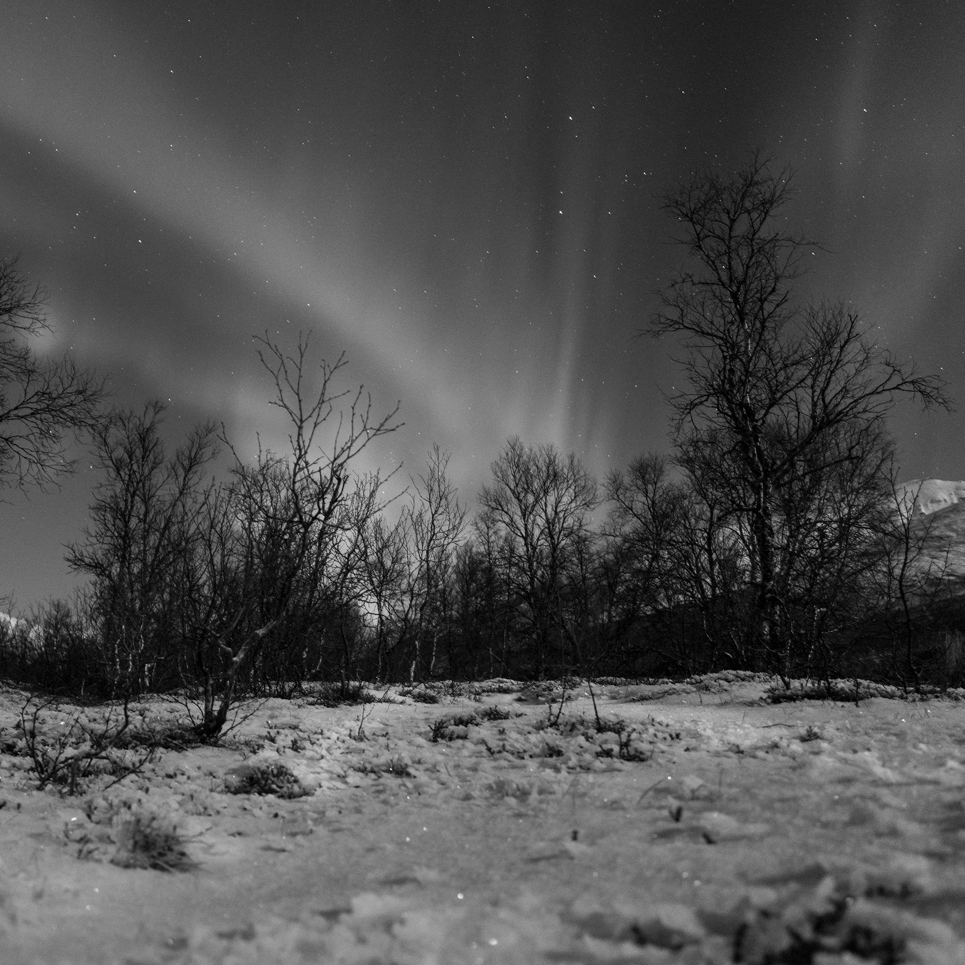 Northern Lights, Tromsø - #N5