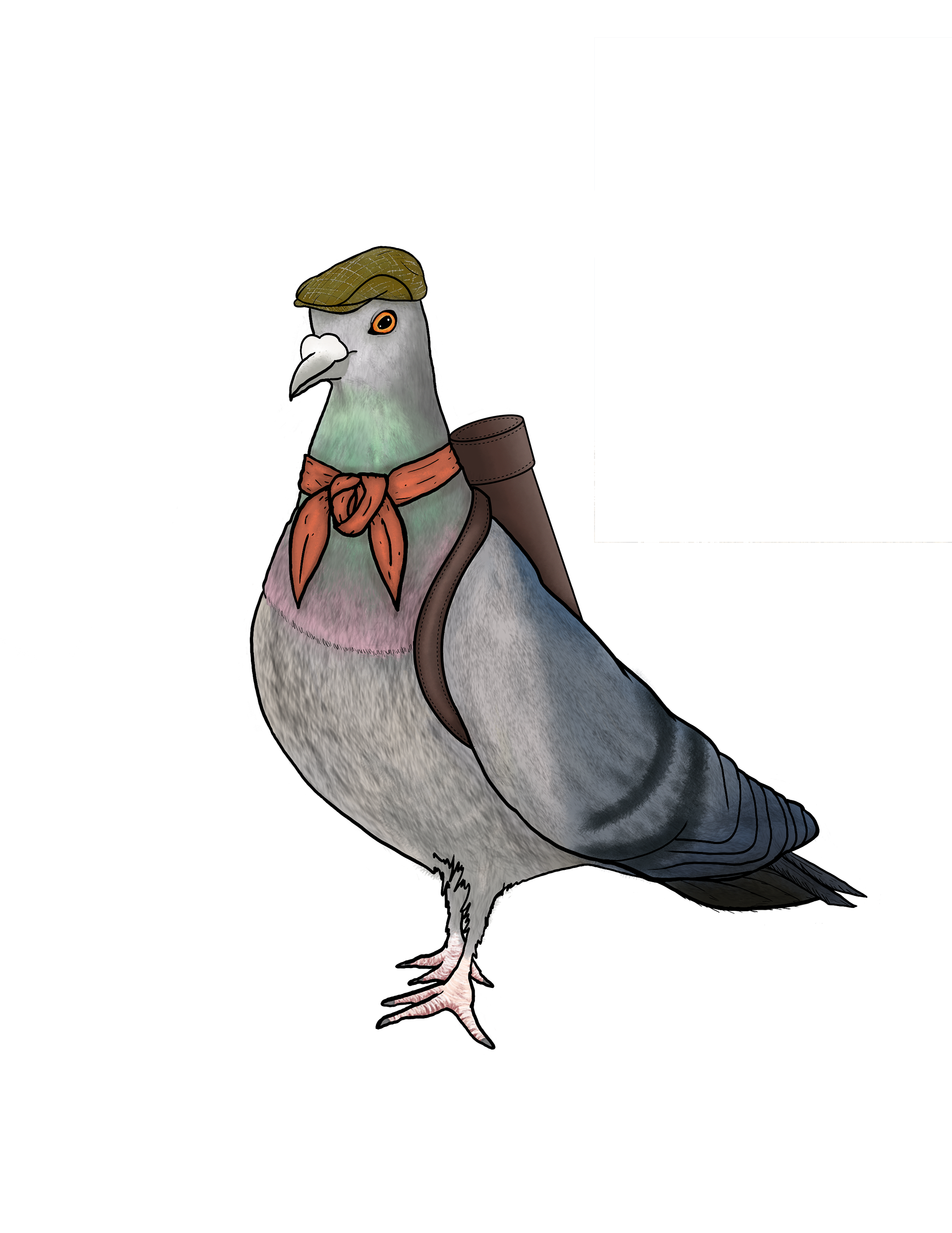 Type Directors Club Carrier Pigeon