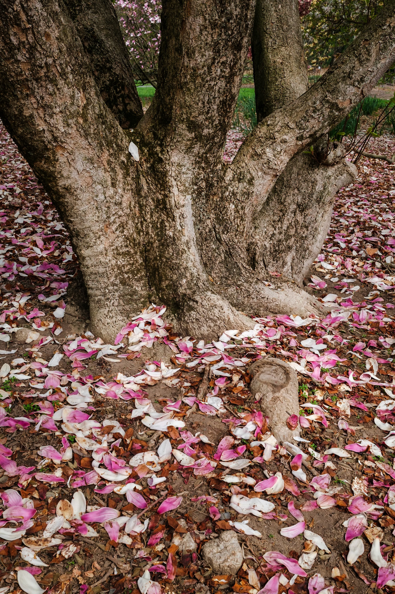 Hershey Gardens, Hershey, Pennsylvania