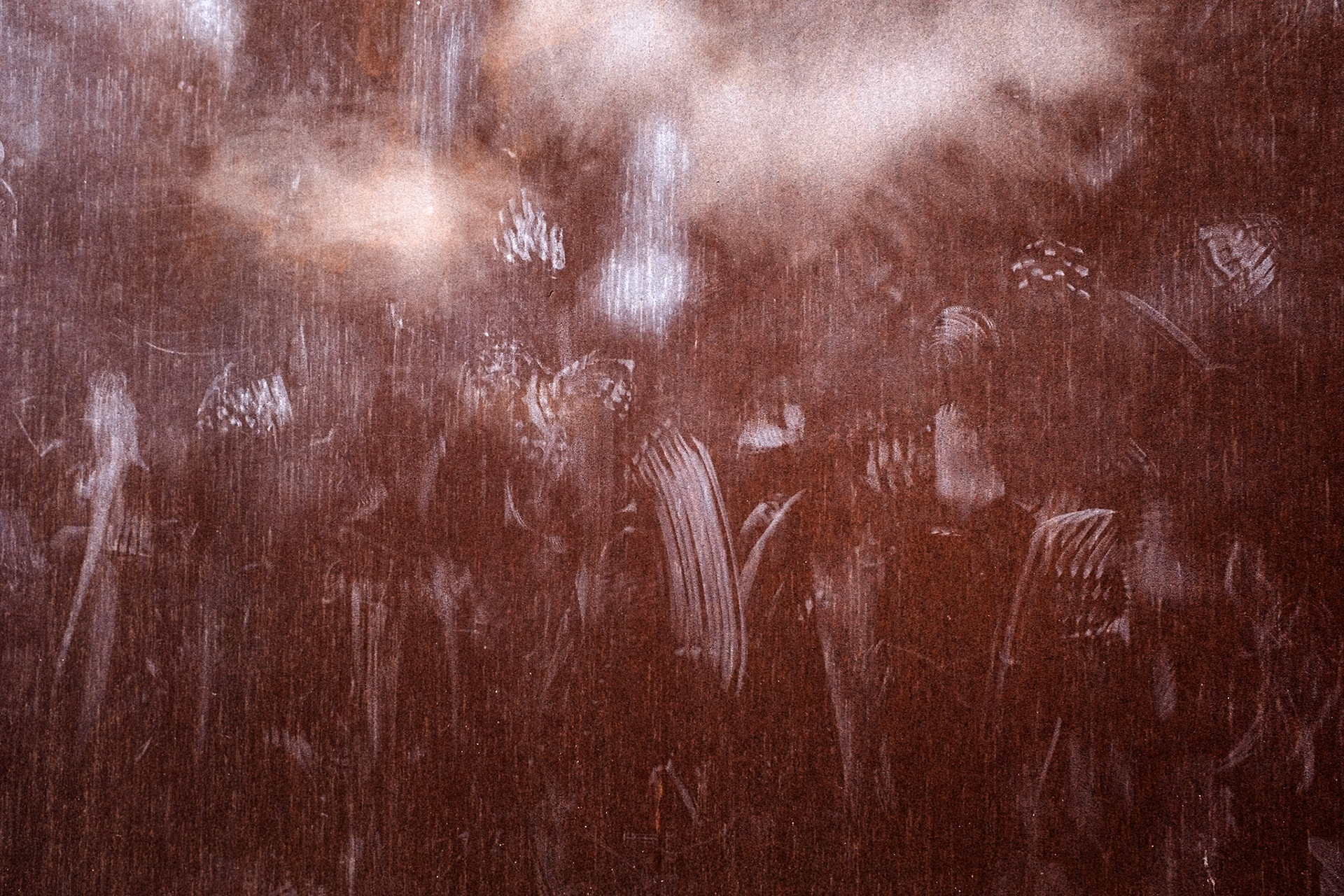 Glenstone Museum, Potomac, Maryland