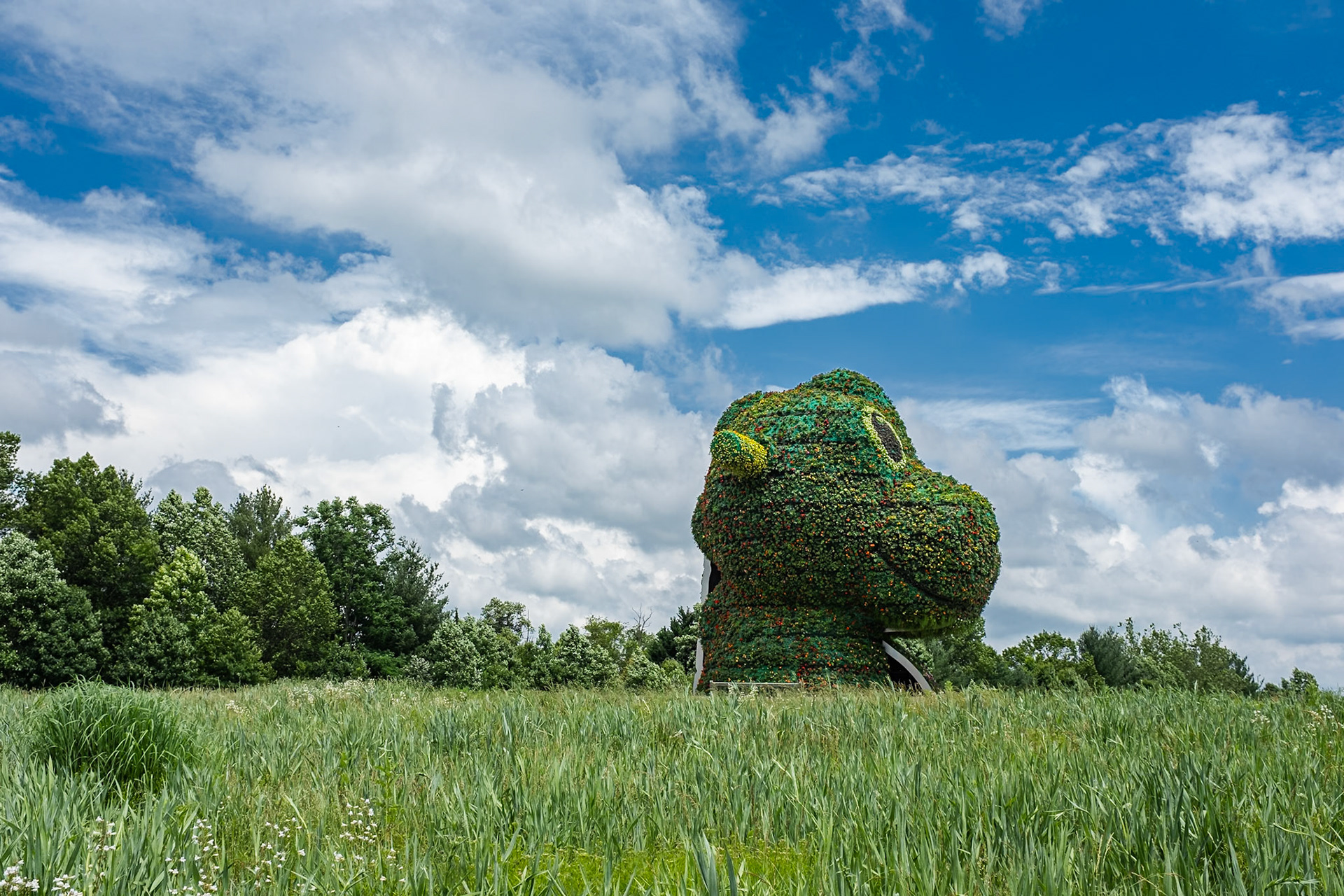 Glenstone Museum, Potomac, Maryland