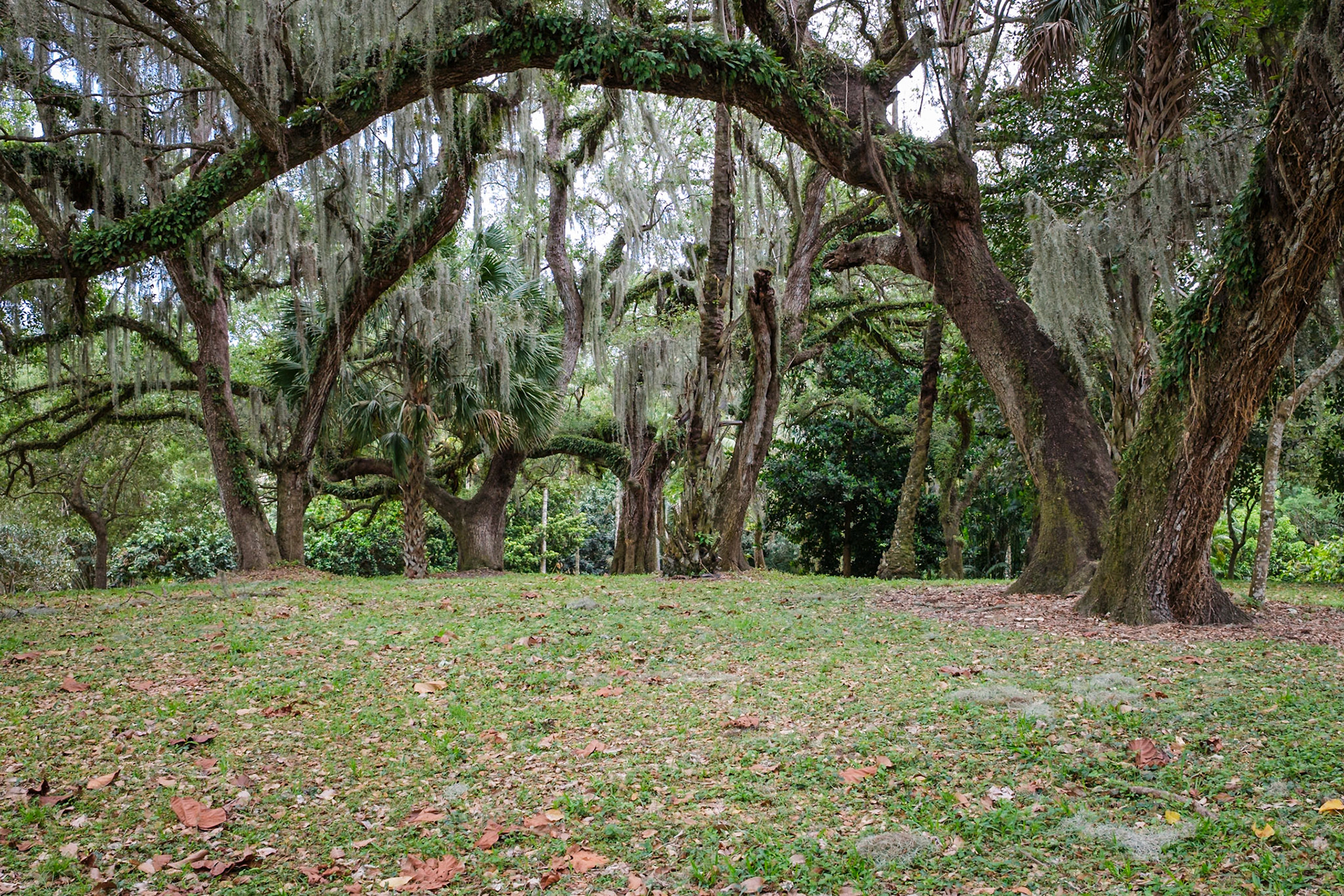 Flamingo Gardens, Davie, Florida