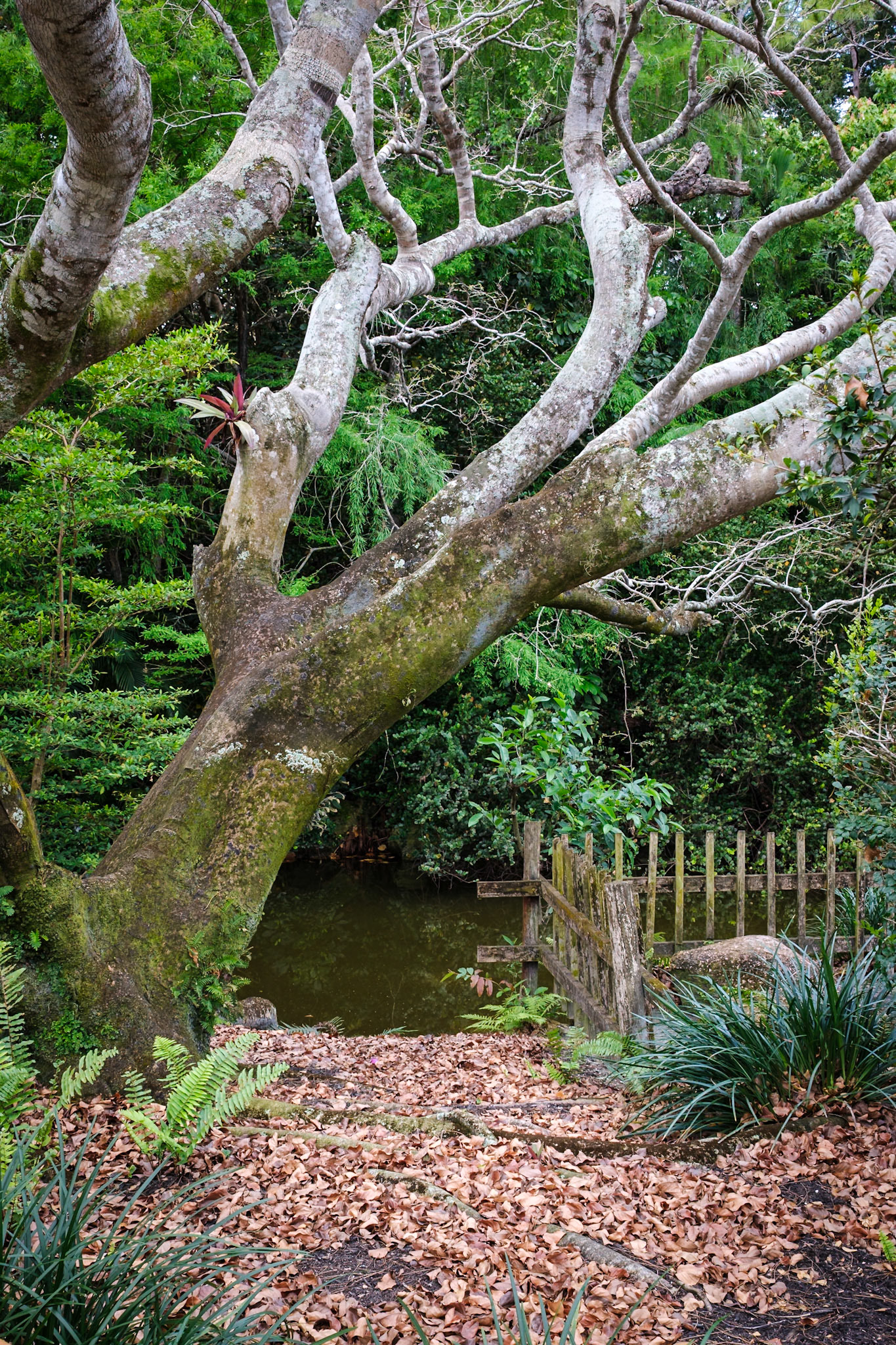 Morikami Museum and Japanese Gardens, Delray Beach, Florida