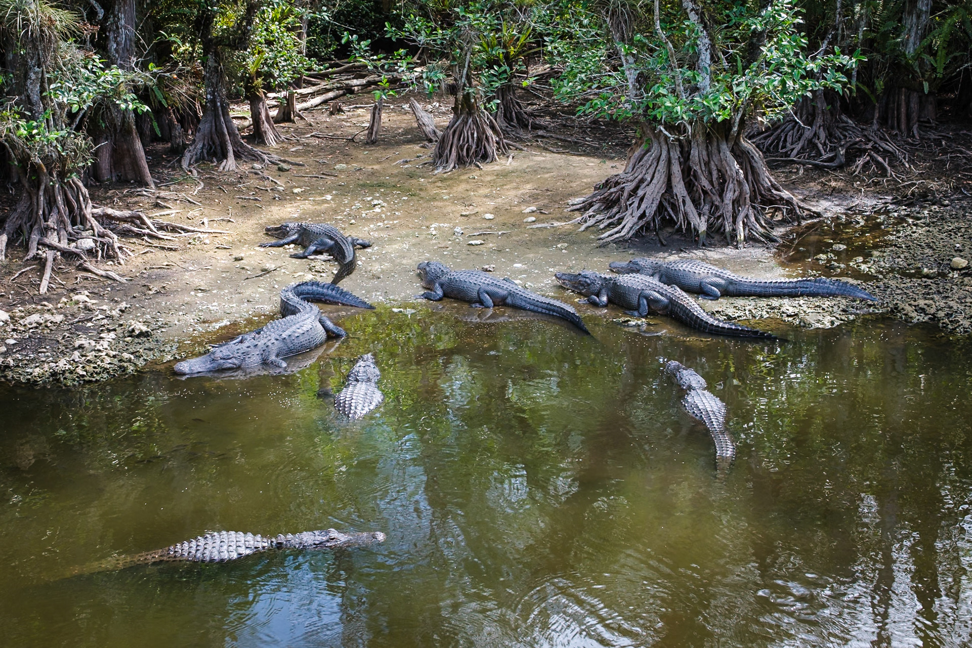 Everglades National Park, Florida