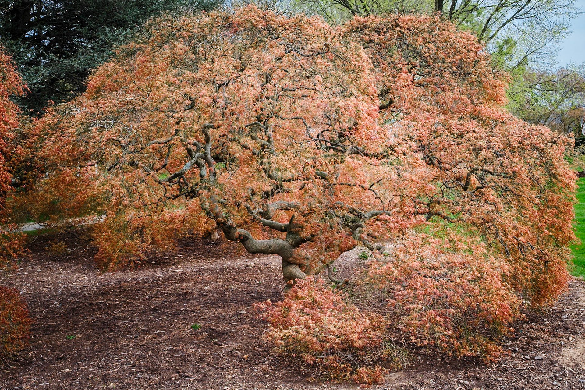 Hershey Gardens, Hershey, Pennsylvania