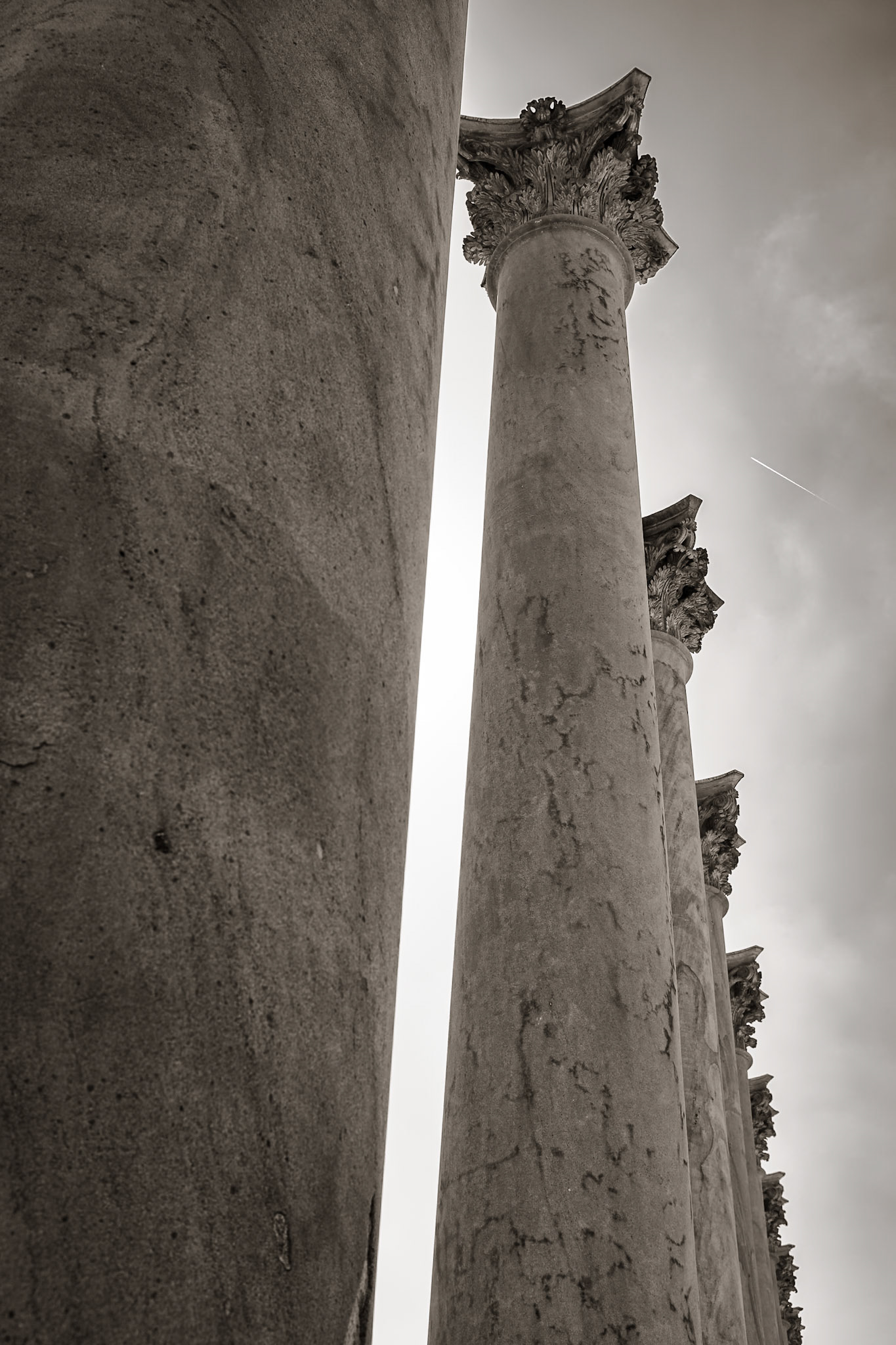 National Arboretum, Washington, DC