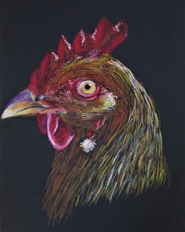 Rooster (2020) -Sold