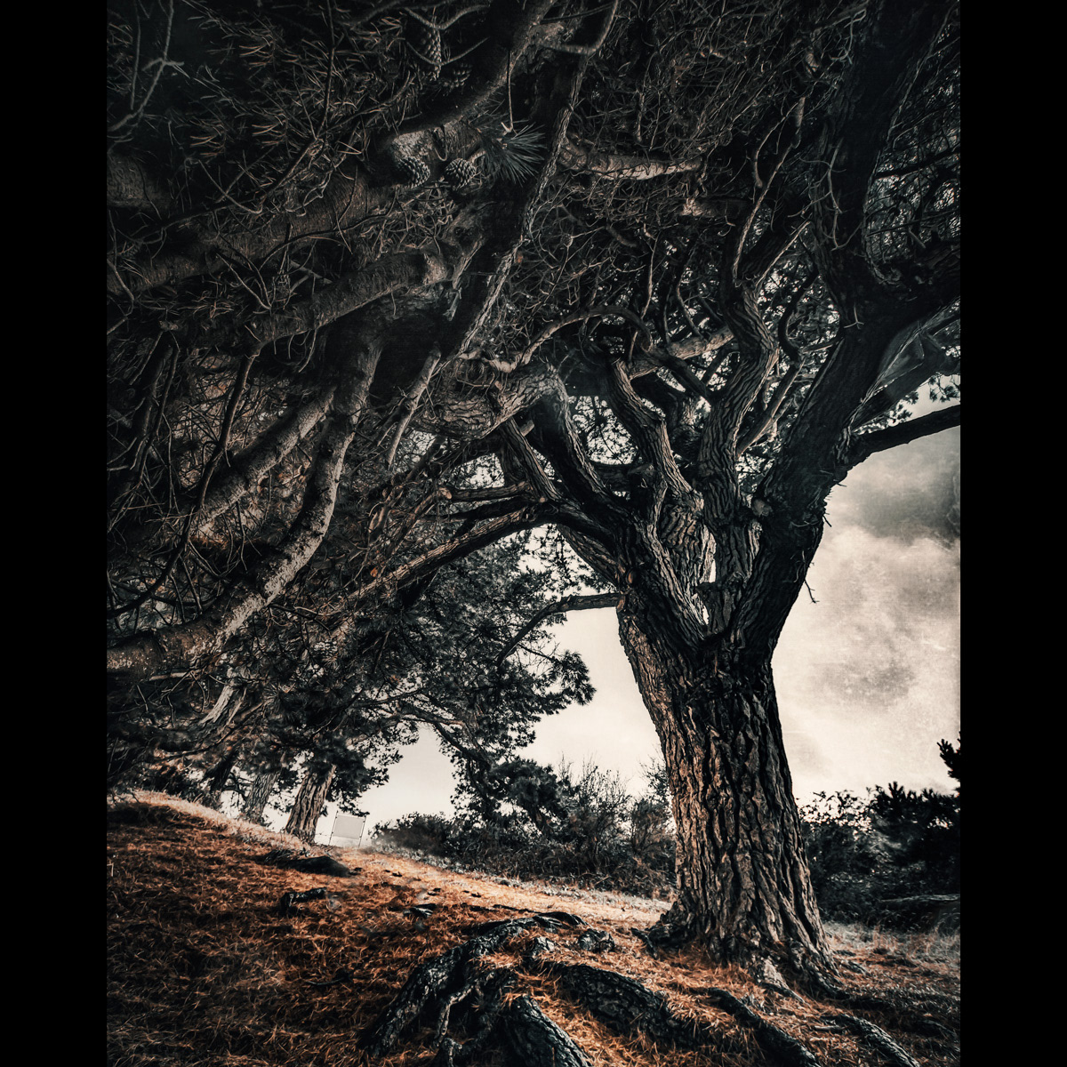 Sheltered