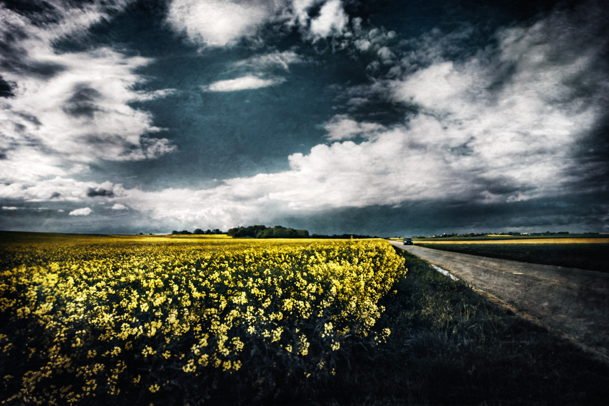 Find the Road and Nature again