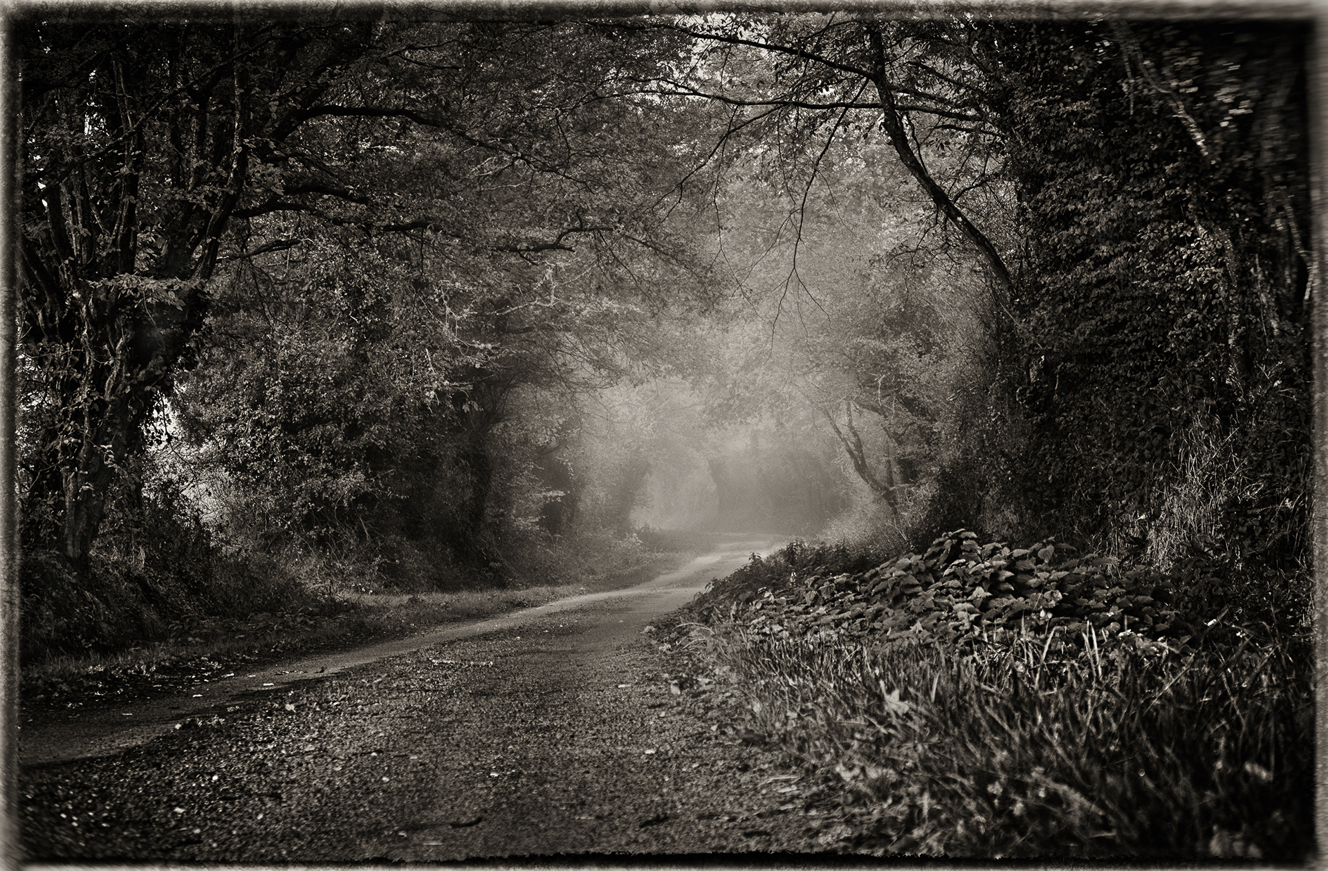 May be at the end of the light