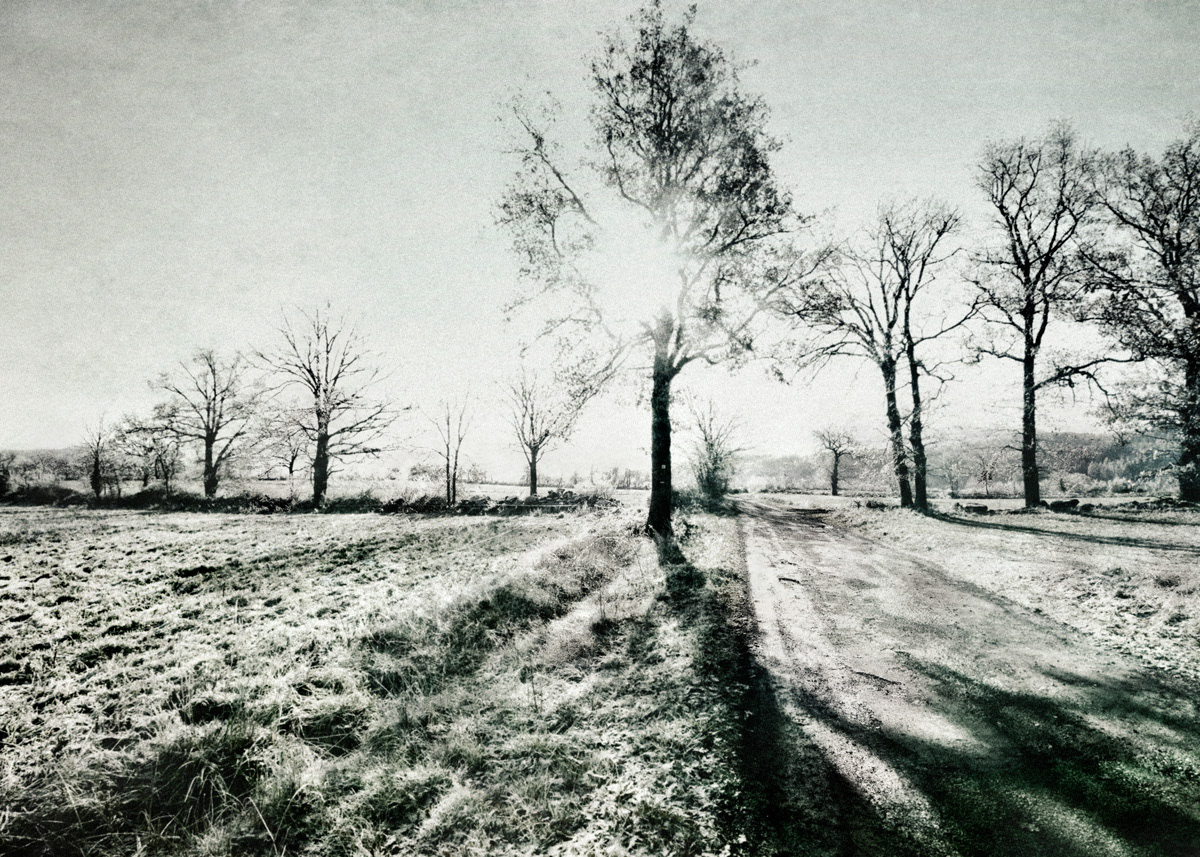 L'hiver 22 -1 - 1