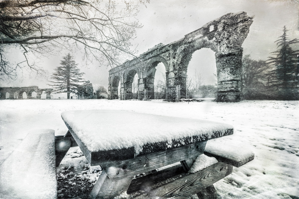 Under the twirling flakes of the forgotten spring