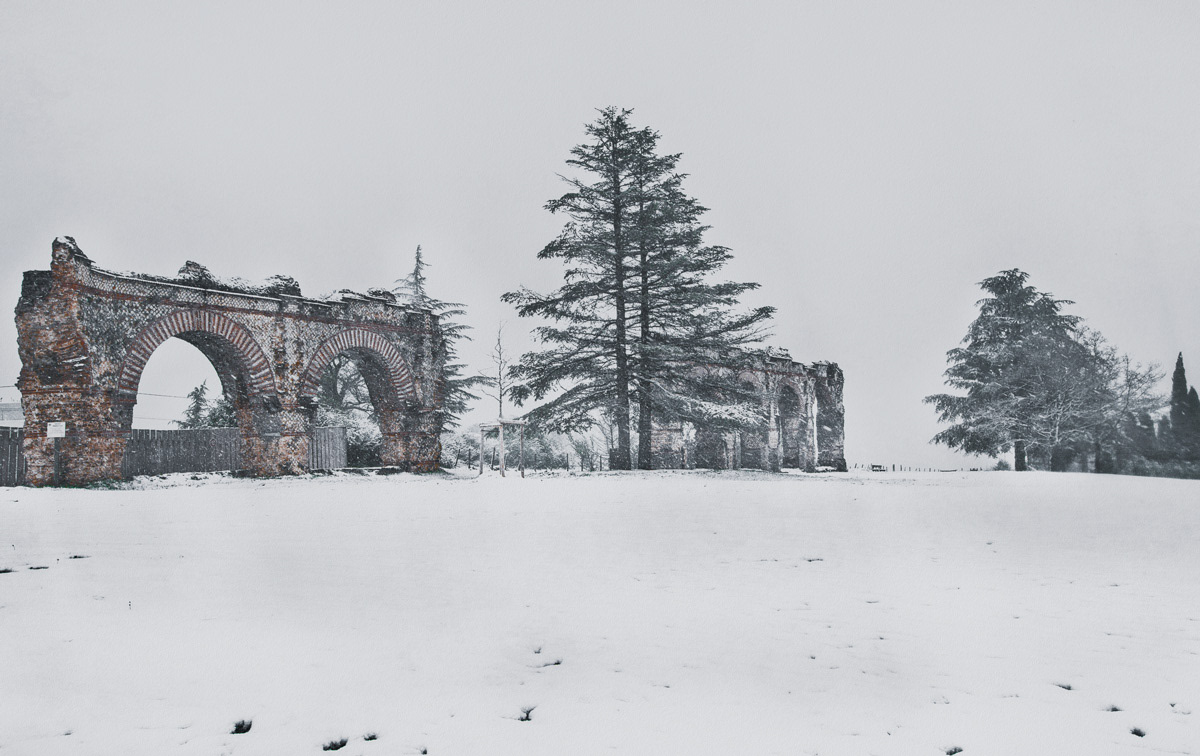 Snows of Yesteryear