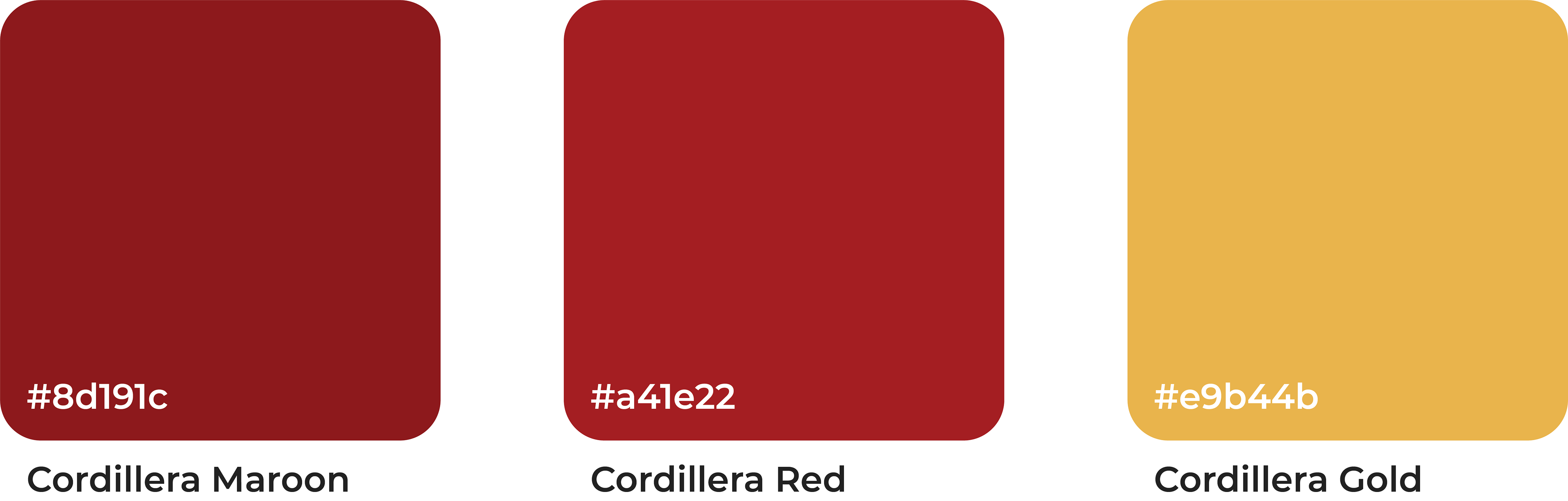 Color Identity System