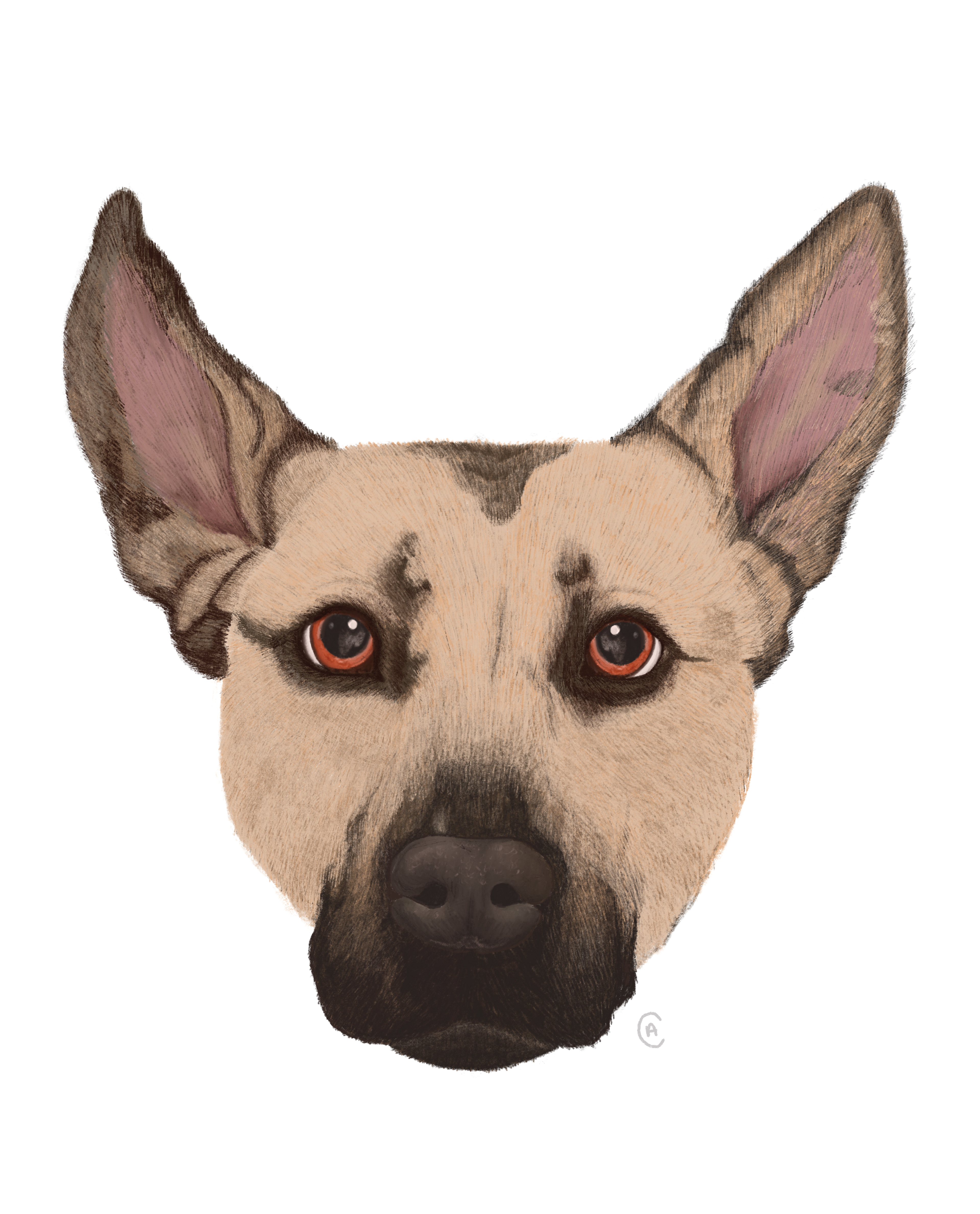 Sushi, Digital Illustration, August 2024