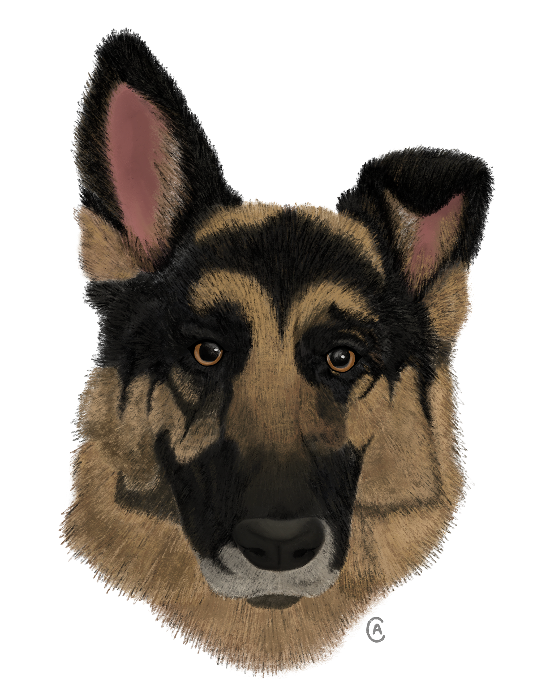 Sam, Digital Illustration, 2022