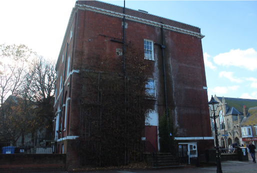Overgrown ivy on the side of the building.