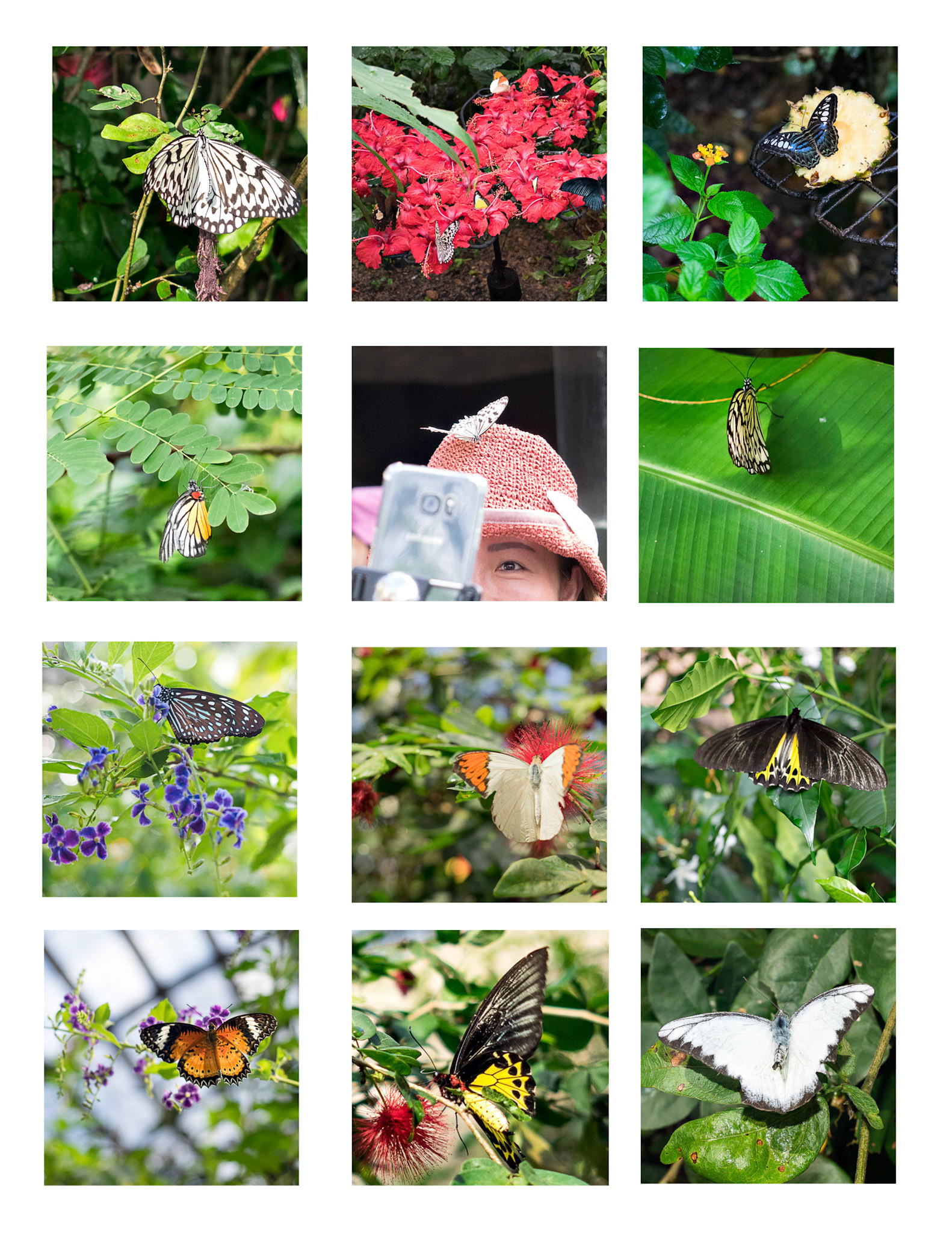 When we started out I noticedthat planes were makinggreat contrails in the sky