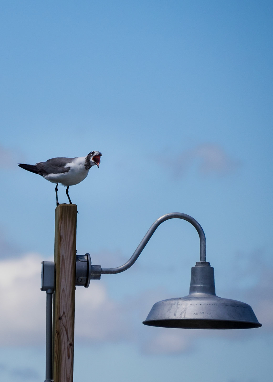 When we started out I noticedthat planes were makinggreat contrails in the sky