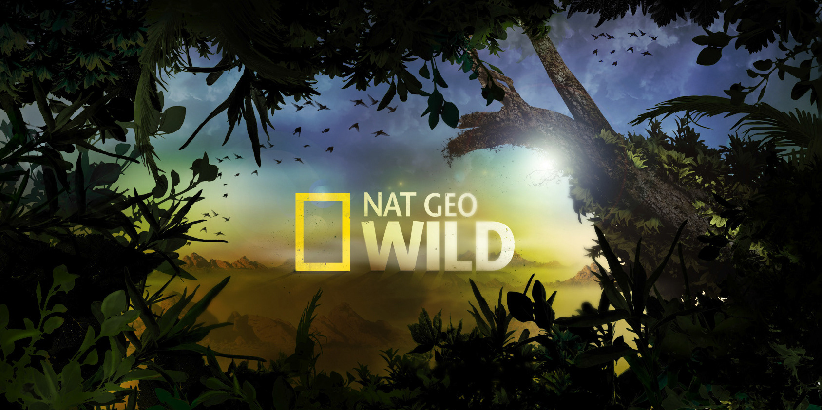 Нат гео вайлд. Nat geo Wild Телеканал. Канал нат Гео. National Geographic Wild логотип. Канал National Geographic Wild.