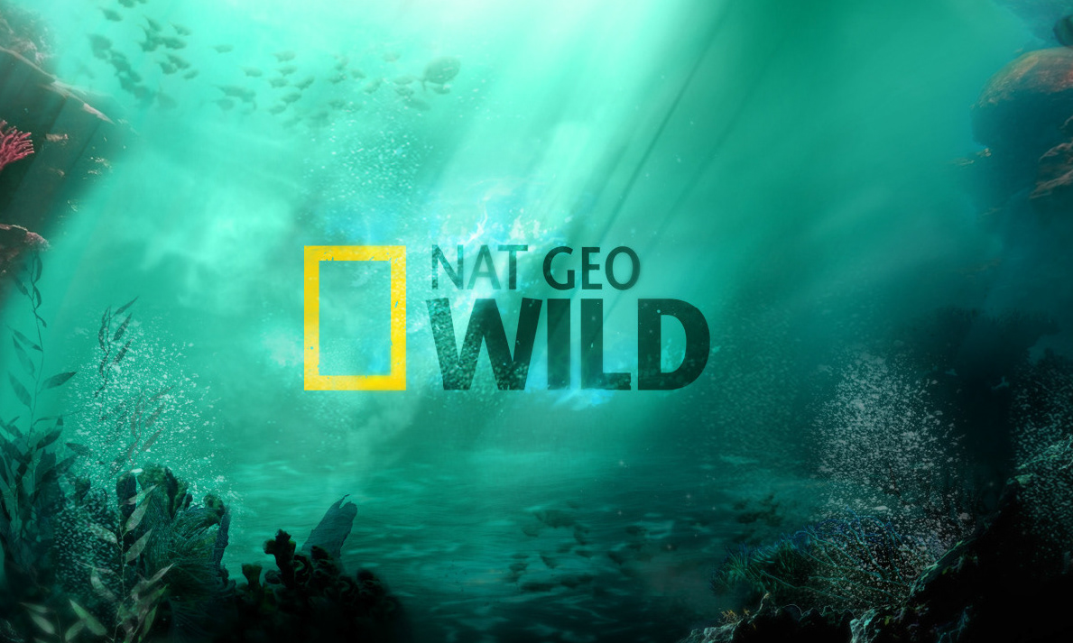 Nat Geo WILD 