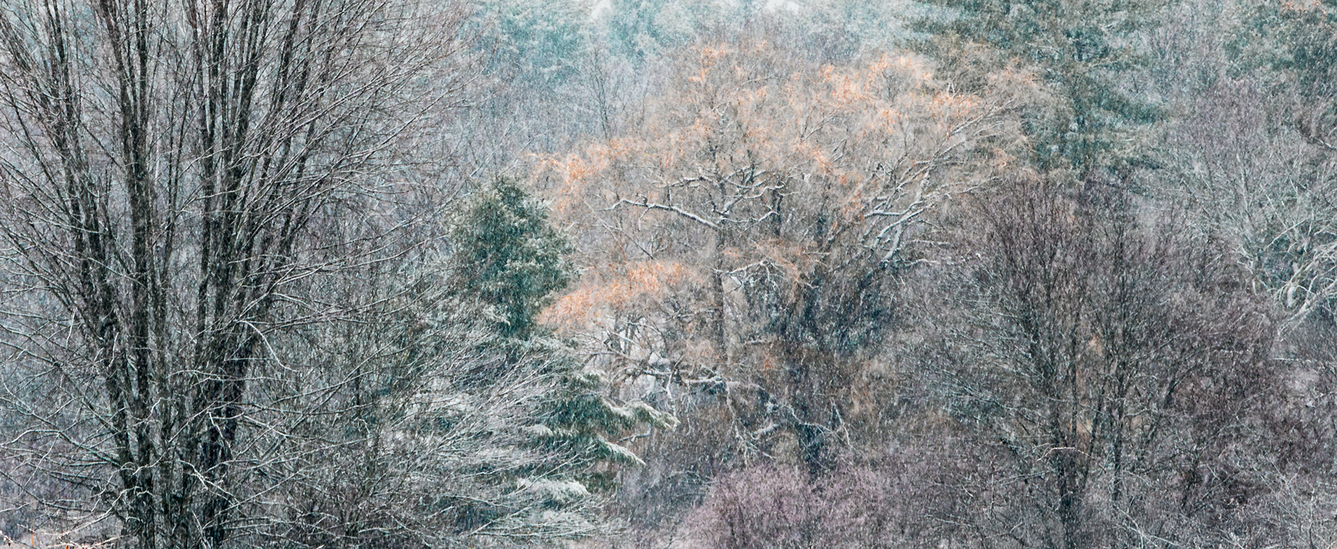 Winter Impression