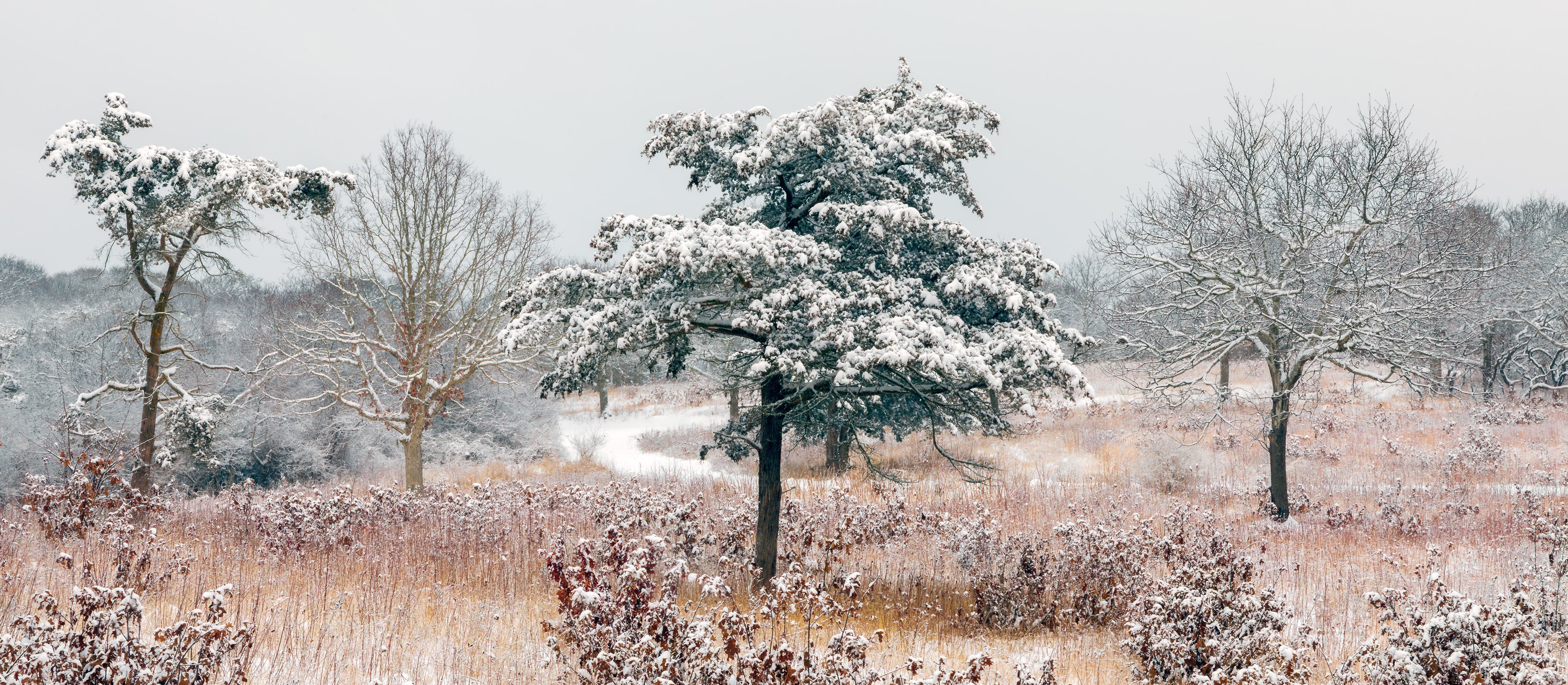 Crowes Pasture in the Winter