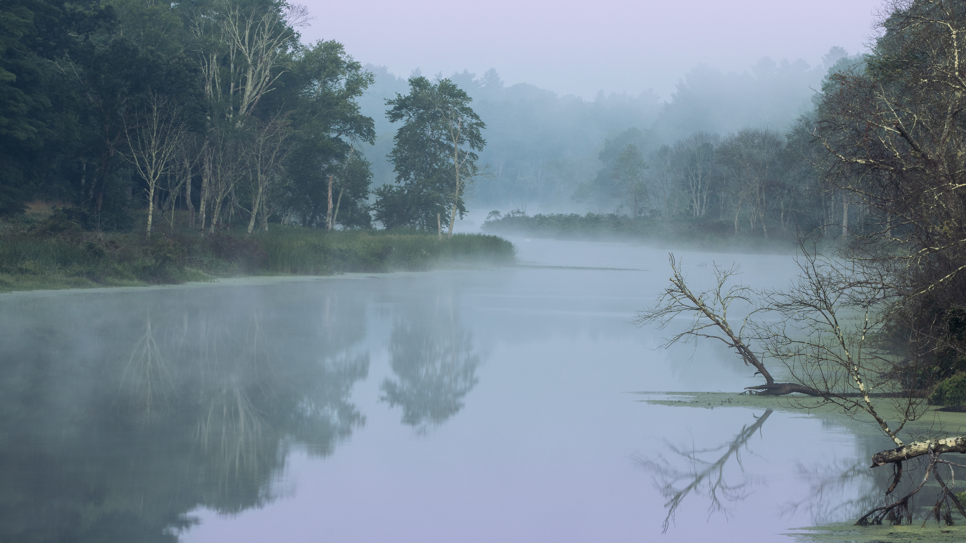 Early Morning Mist on the Charles