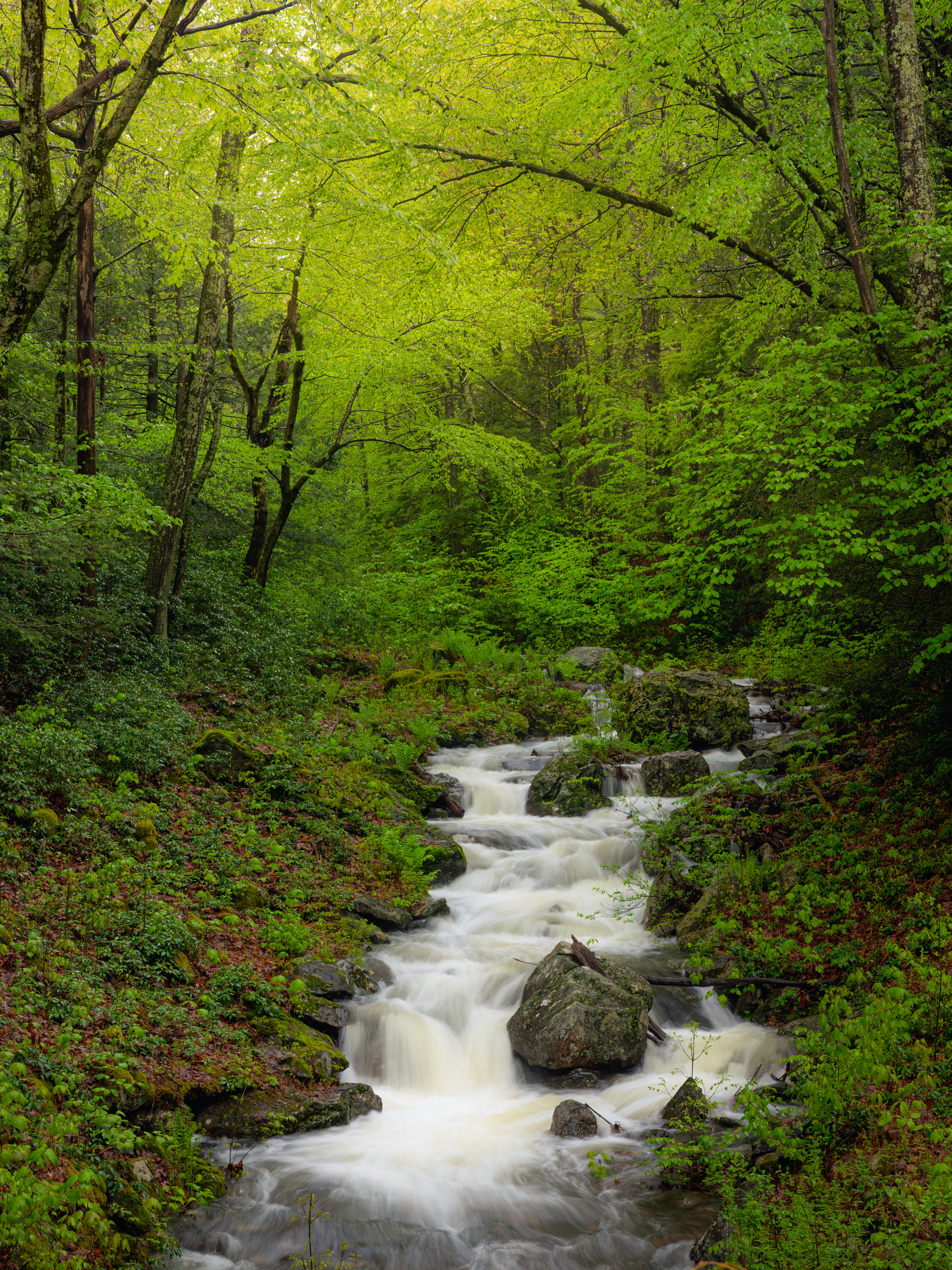 Spring Stream #2