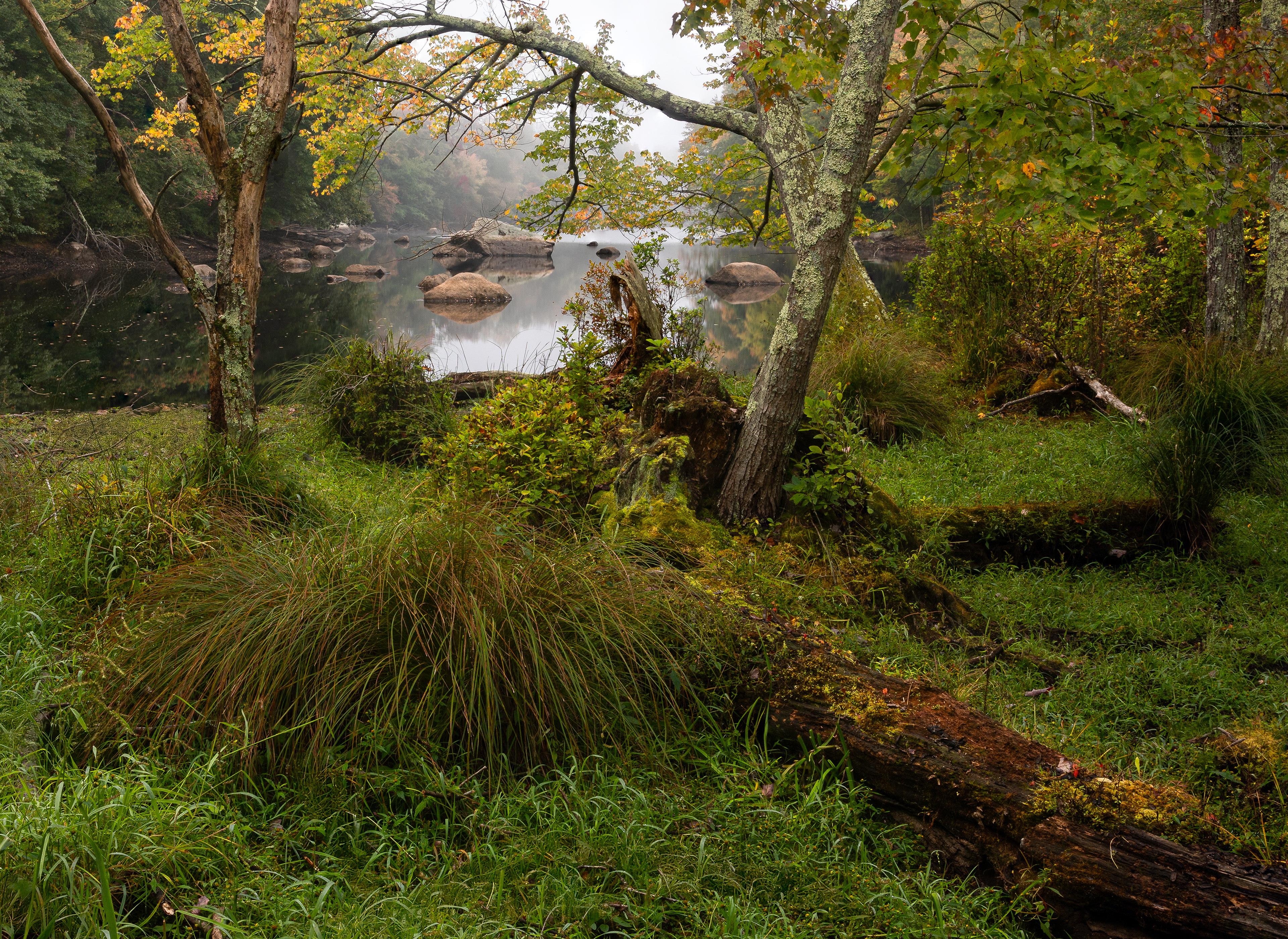Hopkinton Reservoir Backwater