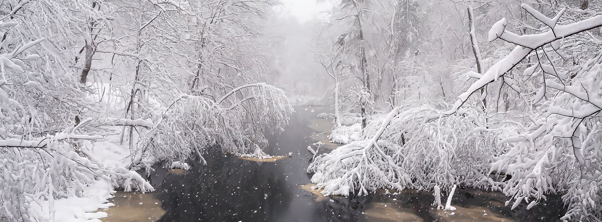 Bullard Stream in the Winter #1