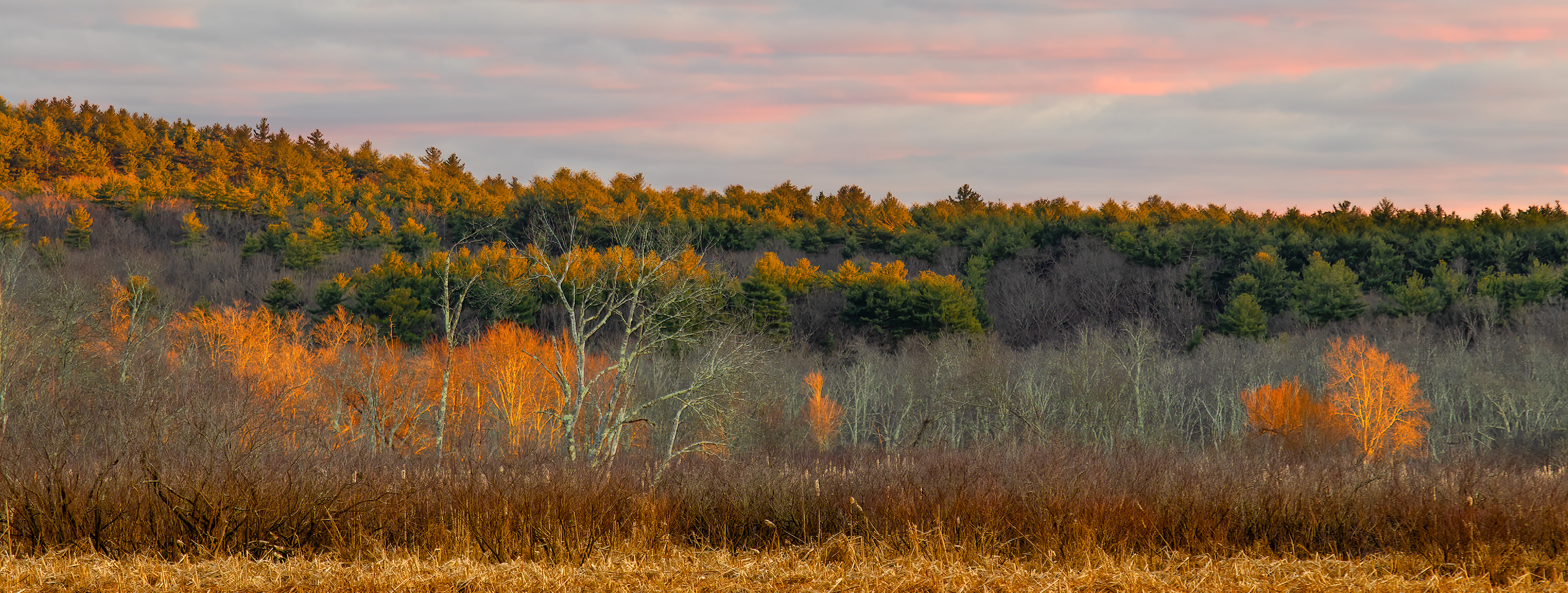 Sunset in the Marsh