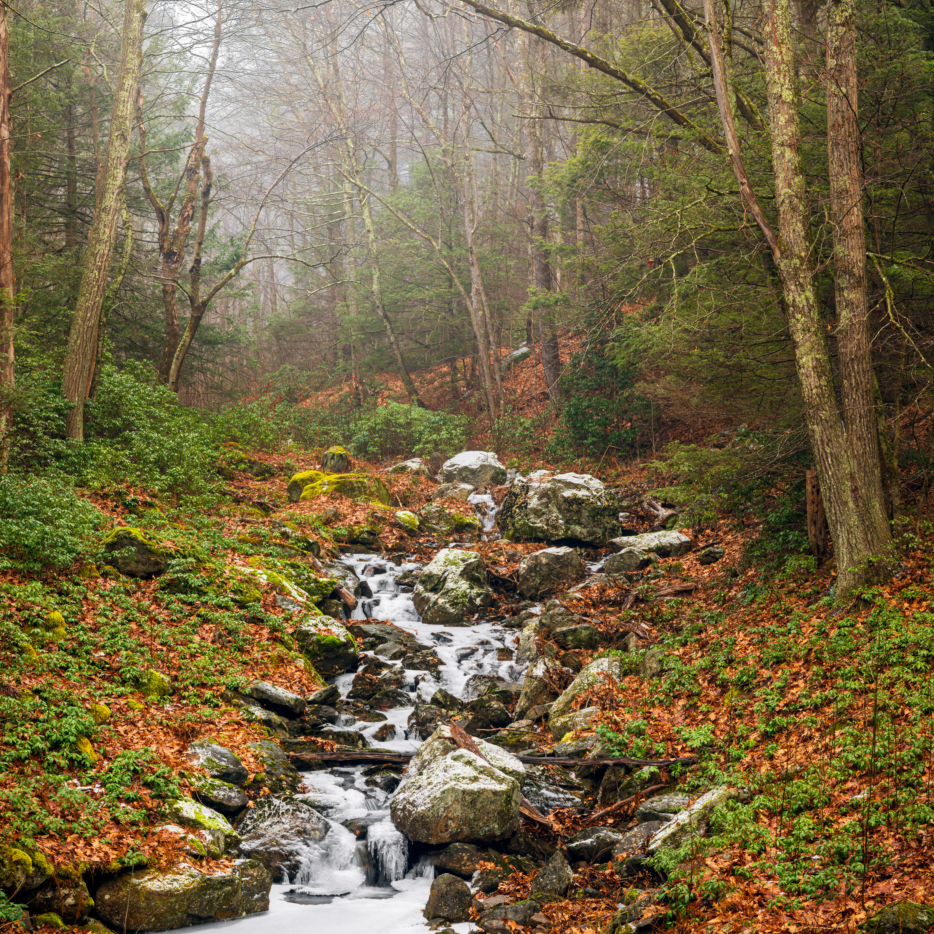 Frozen Stream