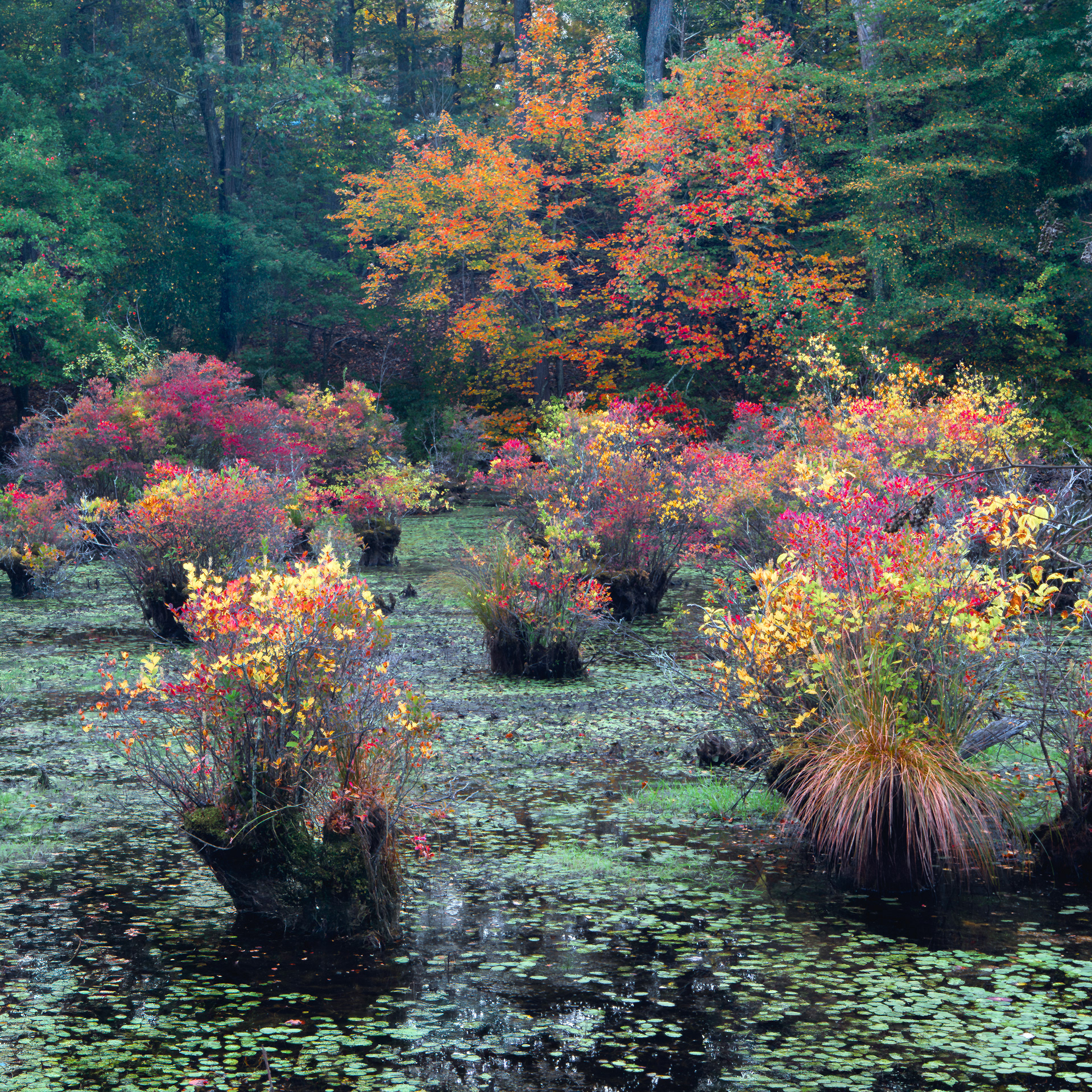 Autumn Planters