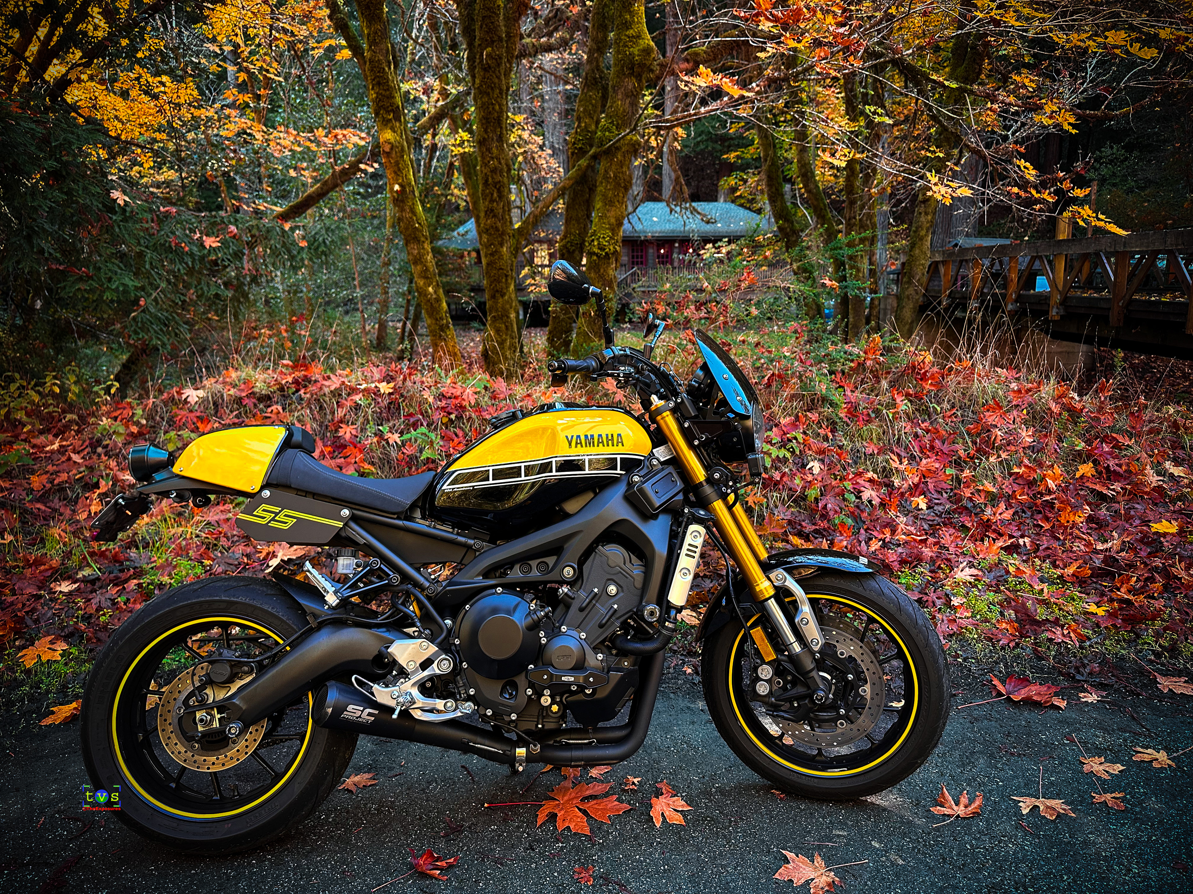 Ride n Shoot - Add color